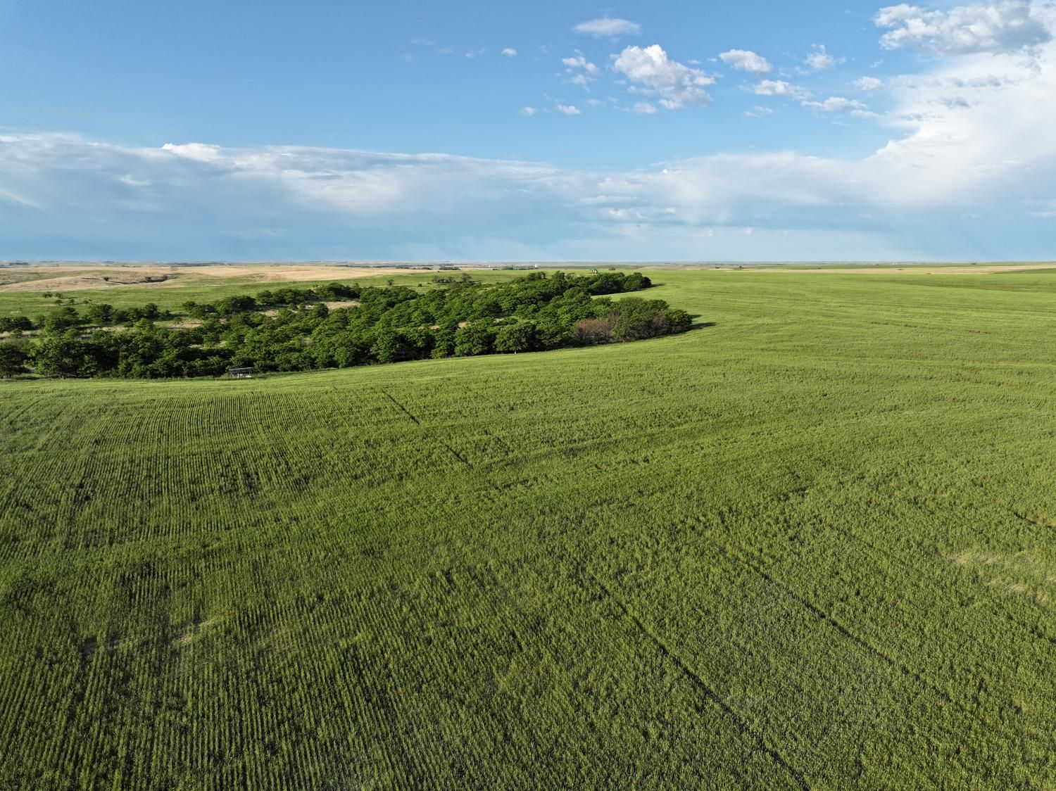 157.08 acres in Norton, KS, 67654 MLS MLS KS1214457