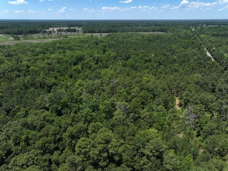 U.S. 501, Maxton, NC 28364 MLS 100451073