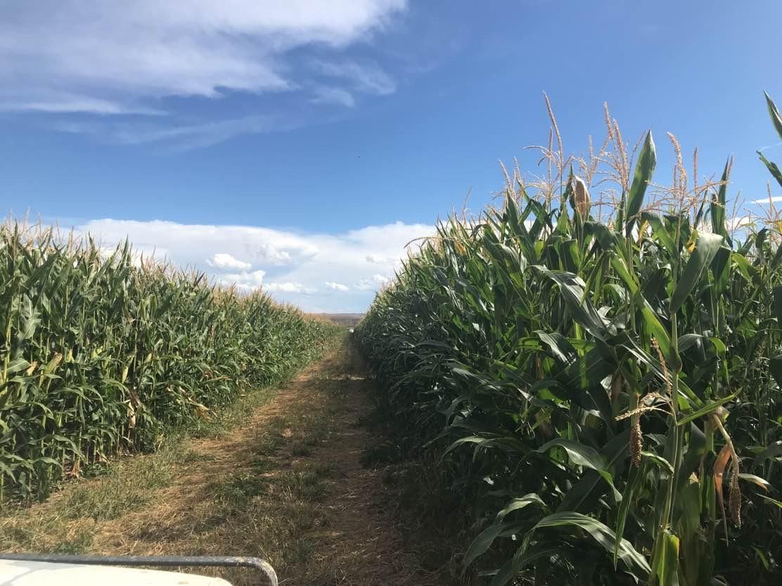 960 acres in Jensen, UT, 84035