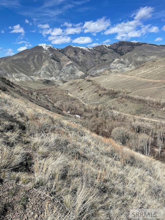 Tbd Burden Road, Salmon, ID 83467 MLS 2166051