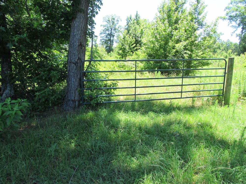 Highway 53, LotWP001, Rosston, AR 71858