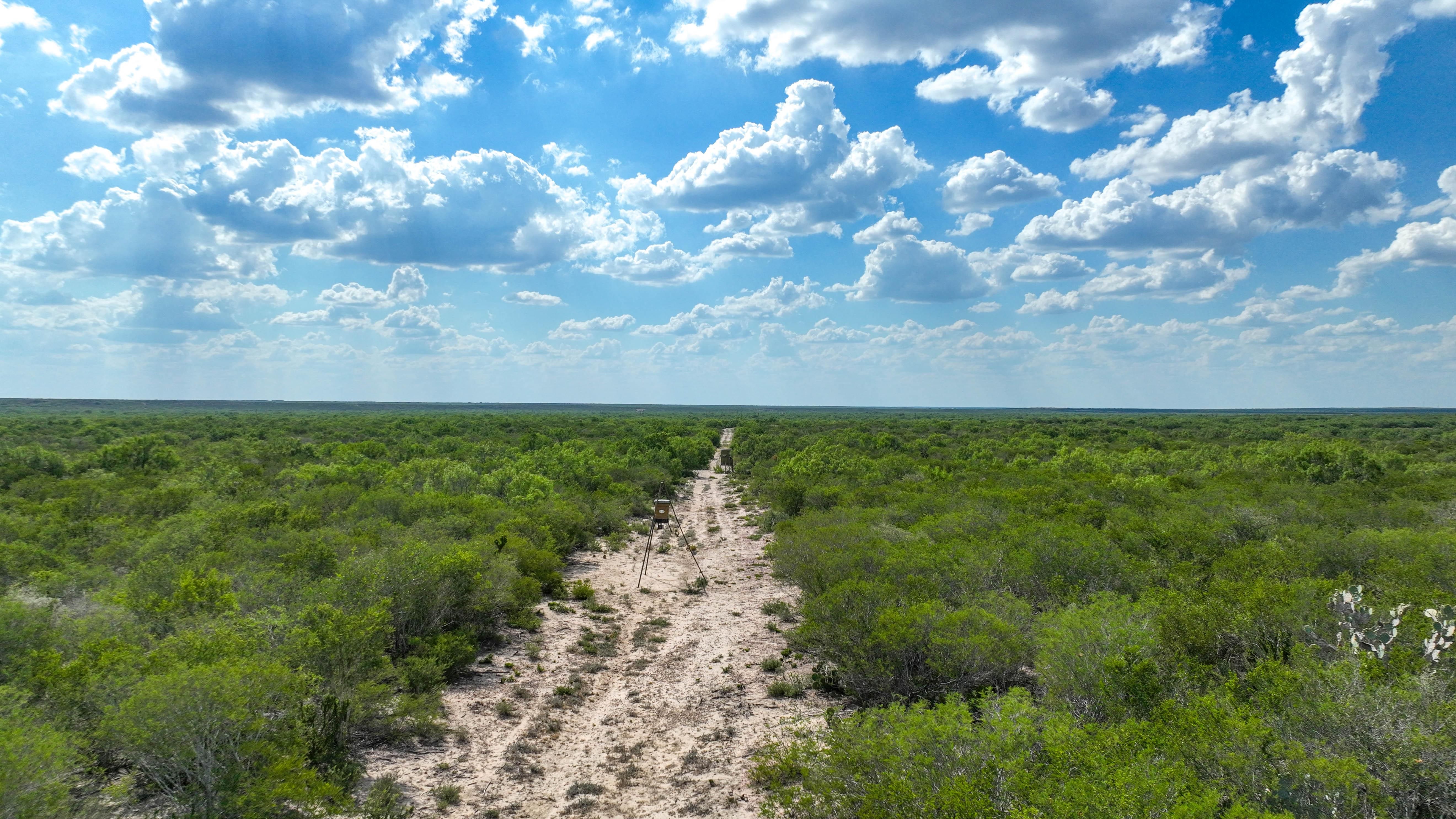 211 acres in Oilton, TX, 78371