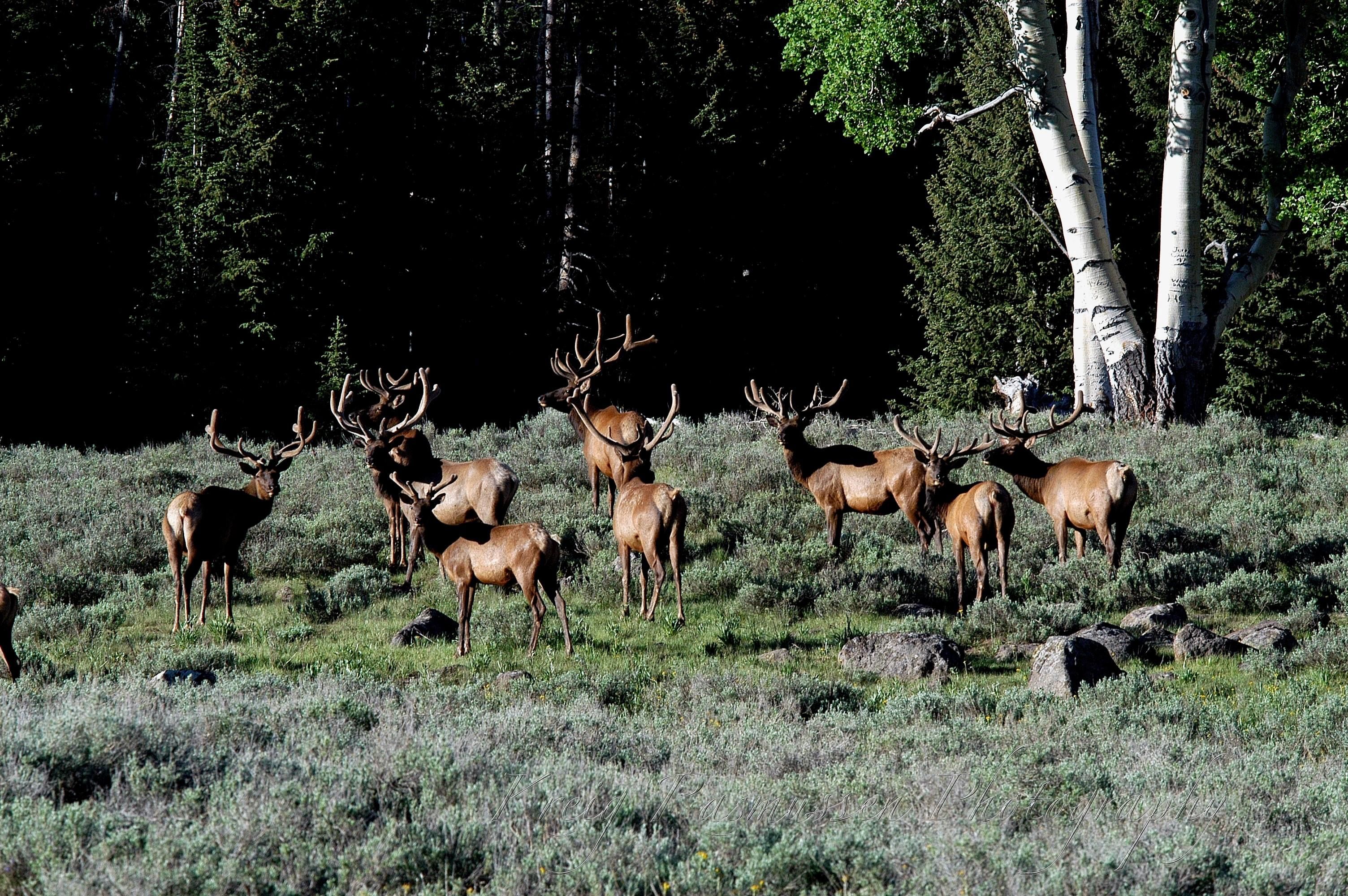 639 acres in Richfield, UT, 84701