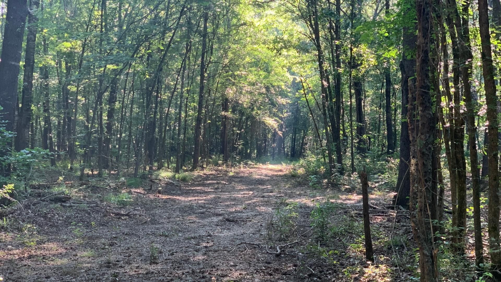 50 acres in Boxelder, TX, 75550