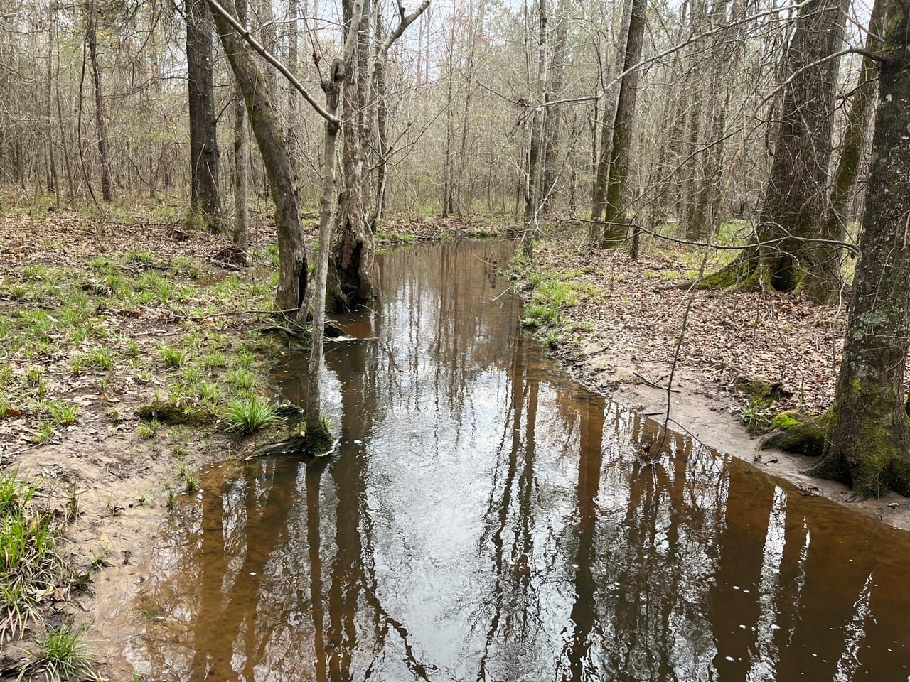 Pollett Rd, Wadley, GA 30477