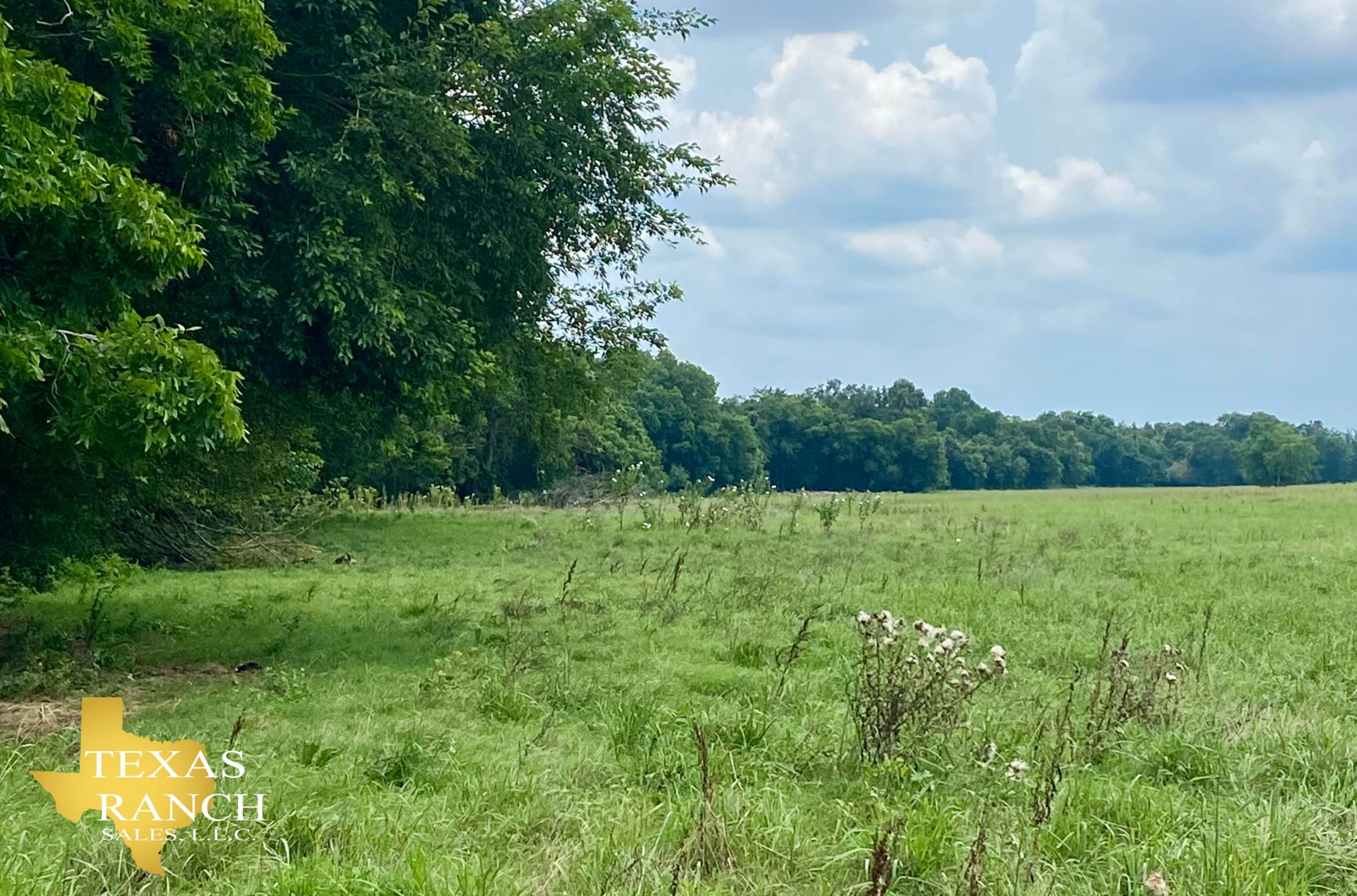 507 acres in Navasota, TX, 77868