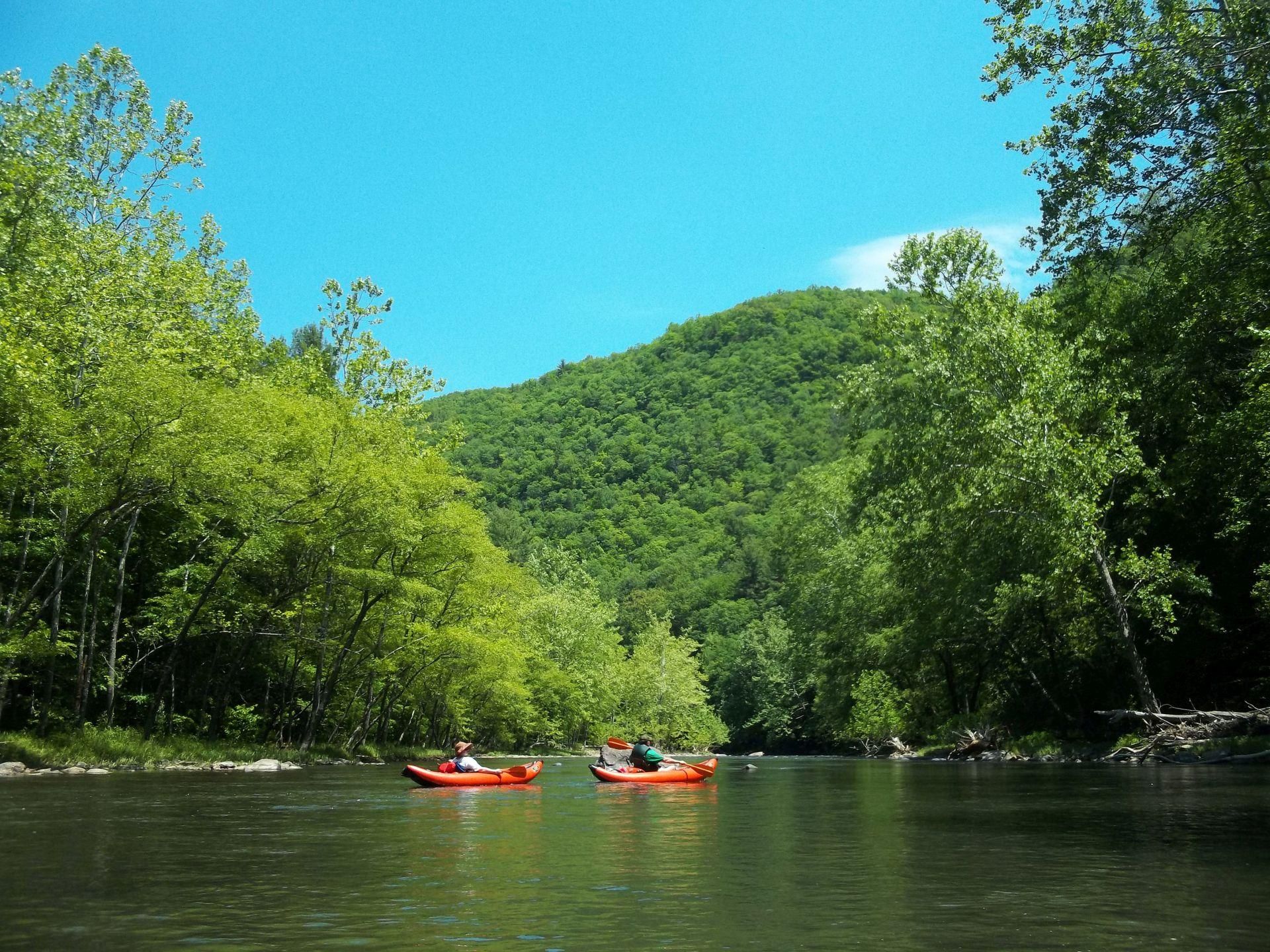 Pine Creek Road, Grantsville, WV 26147 MLS UPPER CAIN 835 +/ ACRES