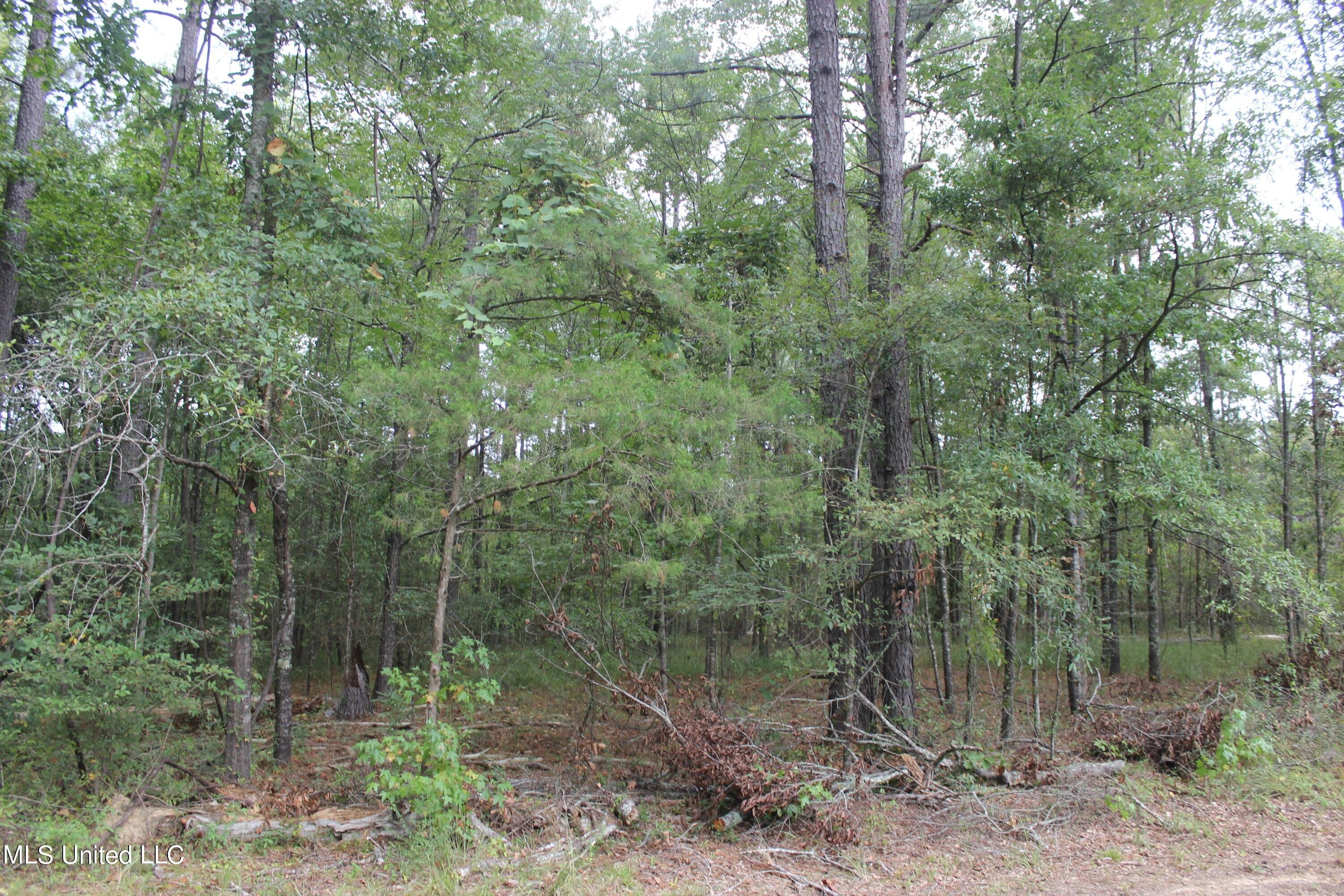 0 Highway 18, Utica, MS 39175 MLS 4055999