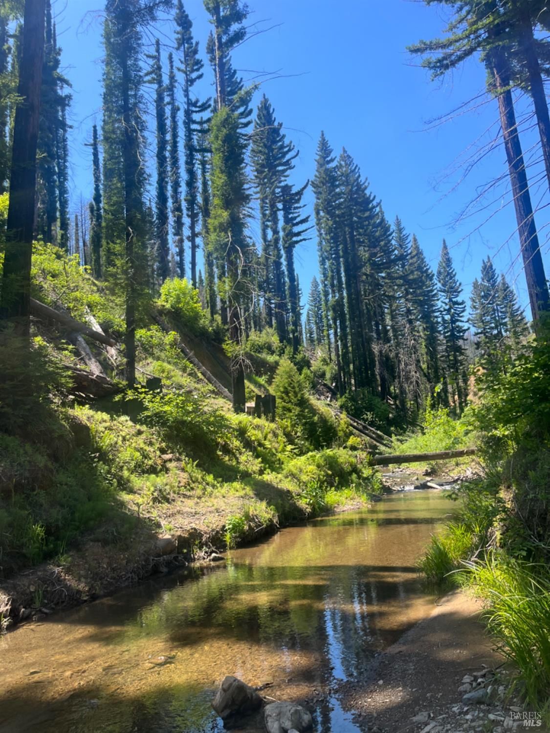 7230 Mill Creek Road, Healdsburg, CA 95448 MLS 324007363