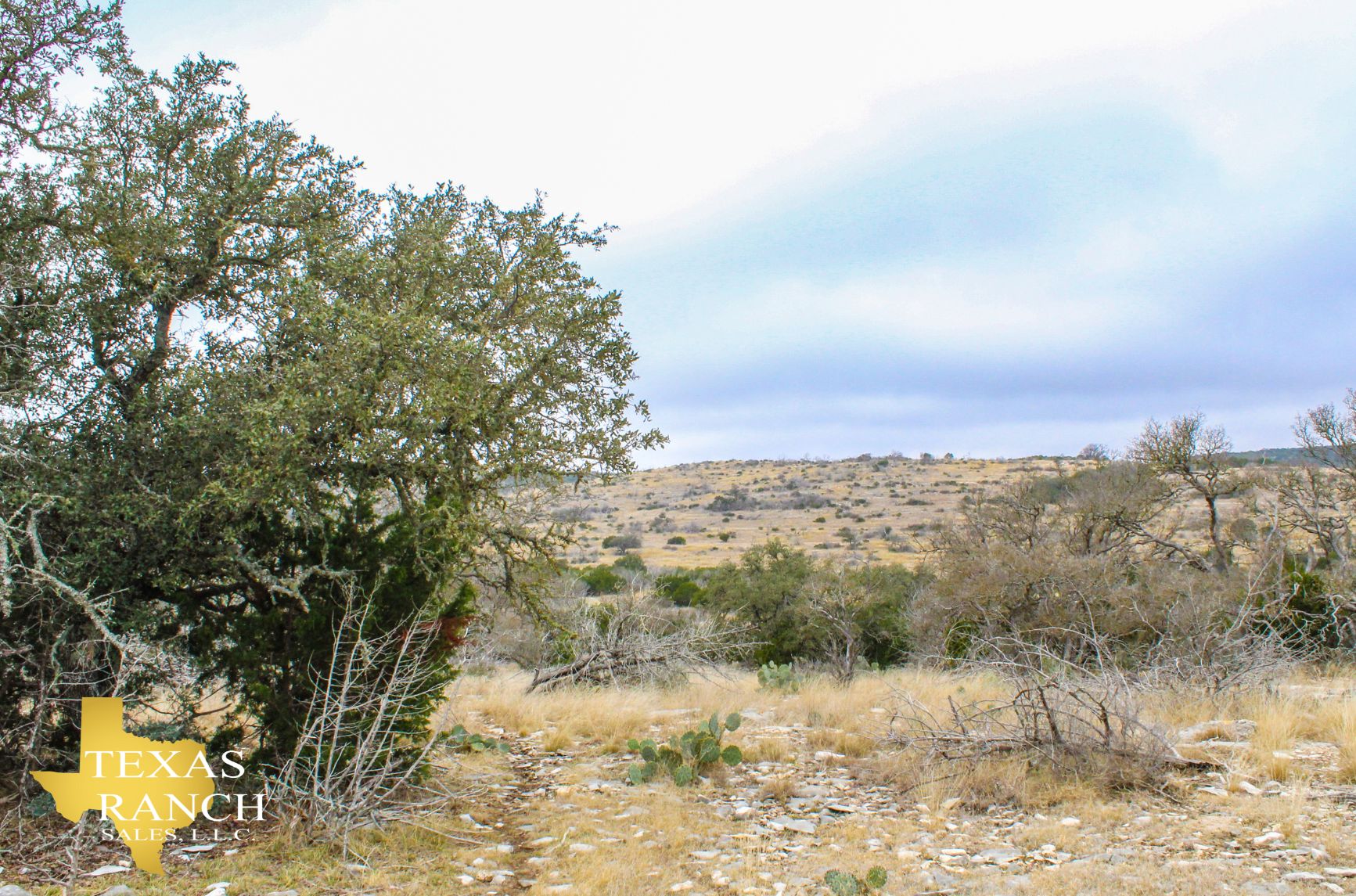 20 acres in Rocksprings, TX, 78880