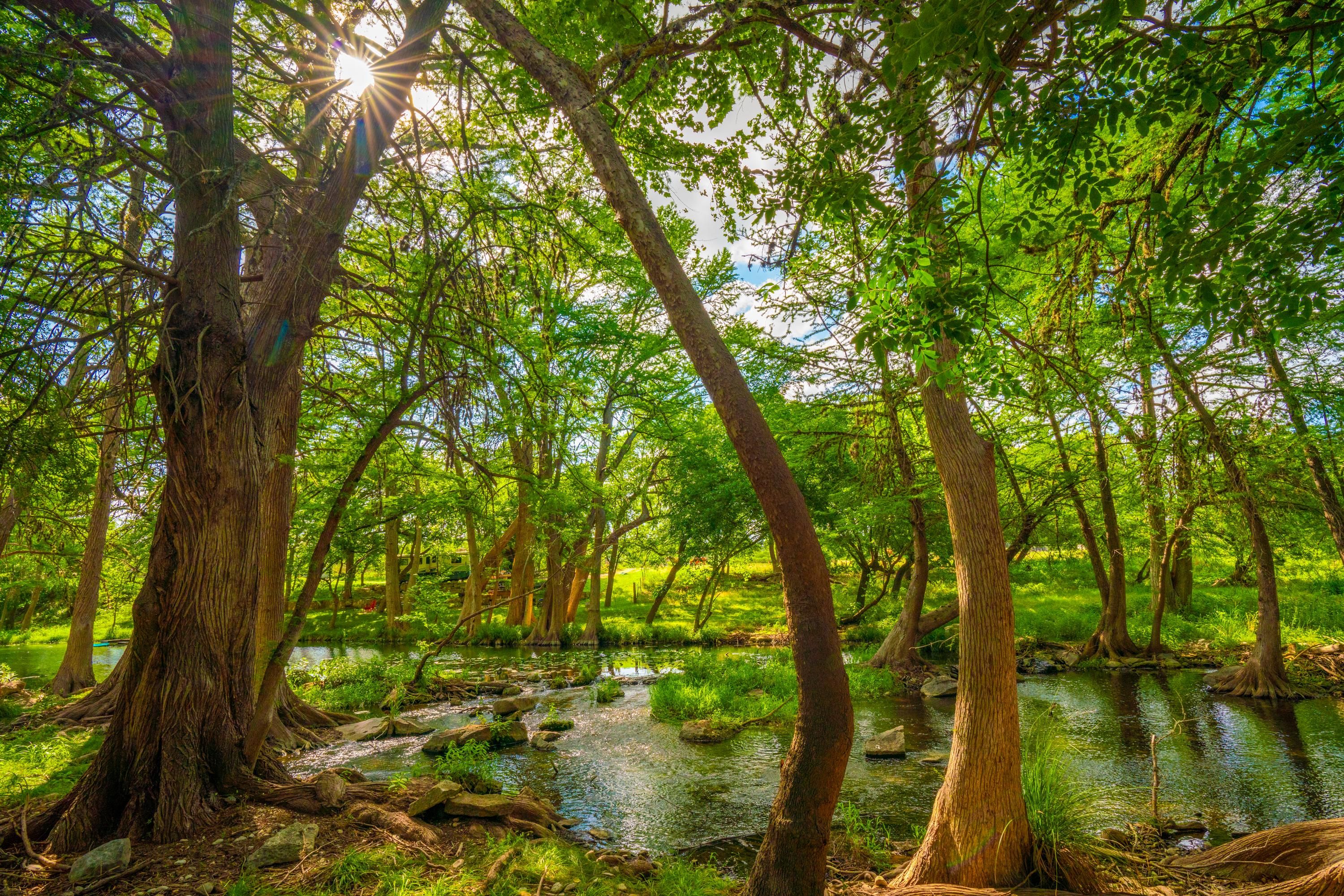 120 acres in Hunt, TX, 78024