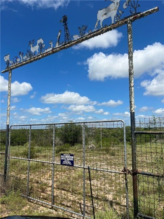 312 acres in Freer, TX, 78357 MLS 443635