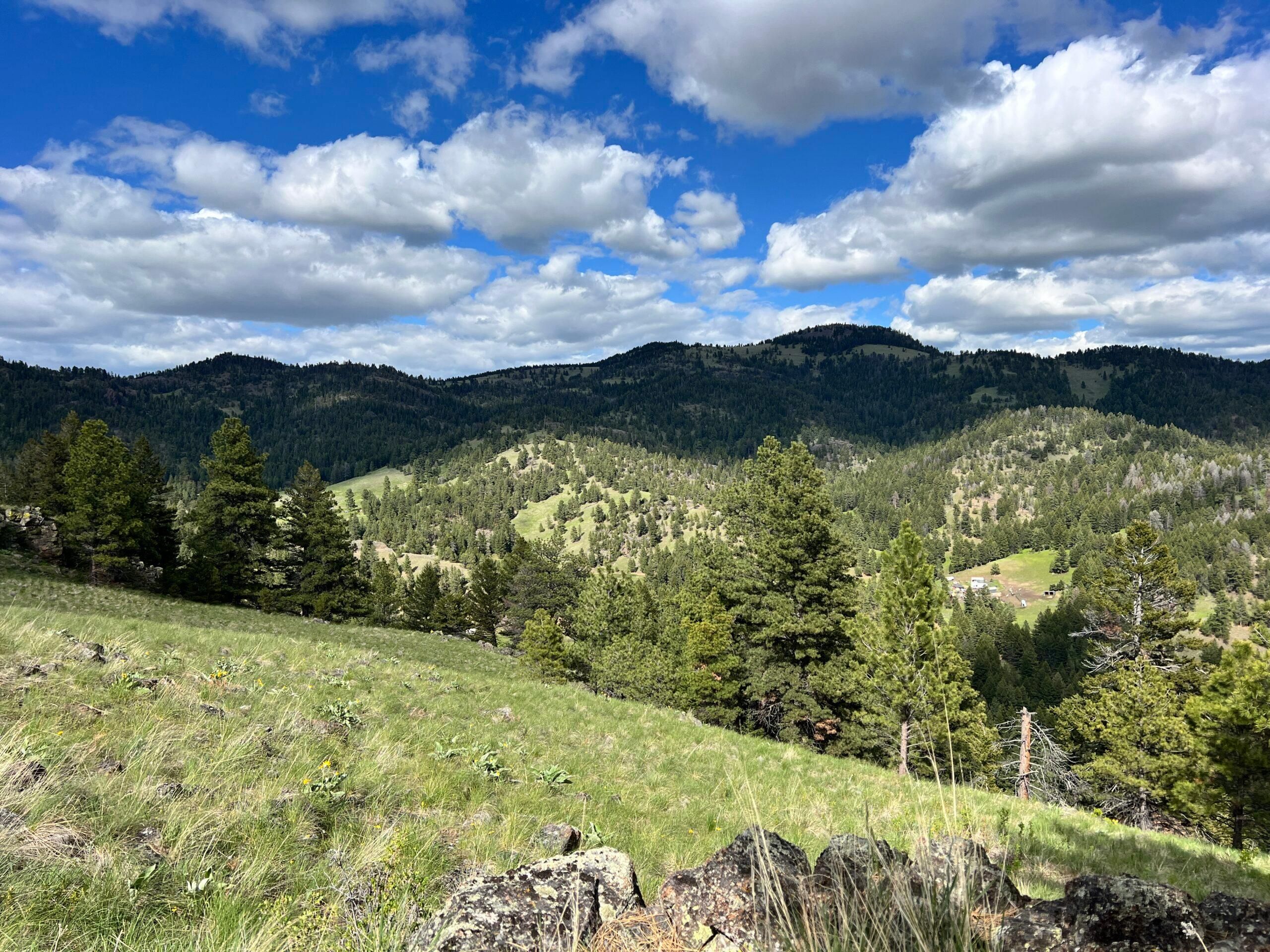 12 acres in Cascade, MT, 59421