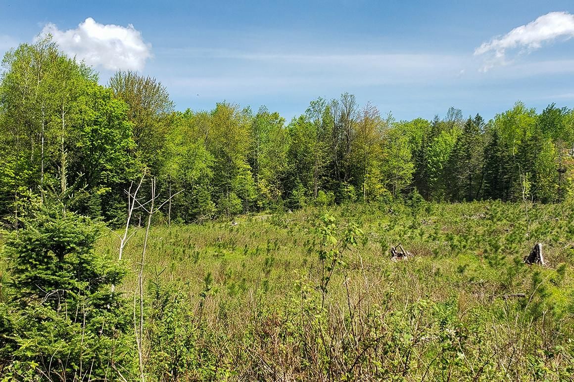 3.6 acres in Crandon, WI, 54520