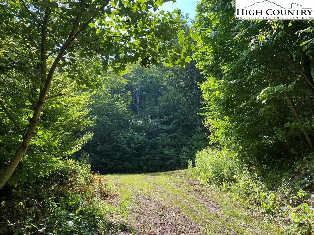 Tract 1 Spring Mountain Trail, Boone, NC 28607 MLS 250516