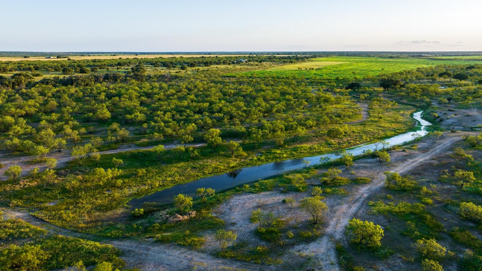 1,042.55 acres in Melvin, TX, 76858 MLS Brady Creek Ranch