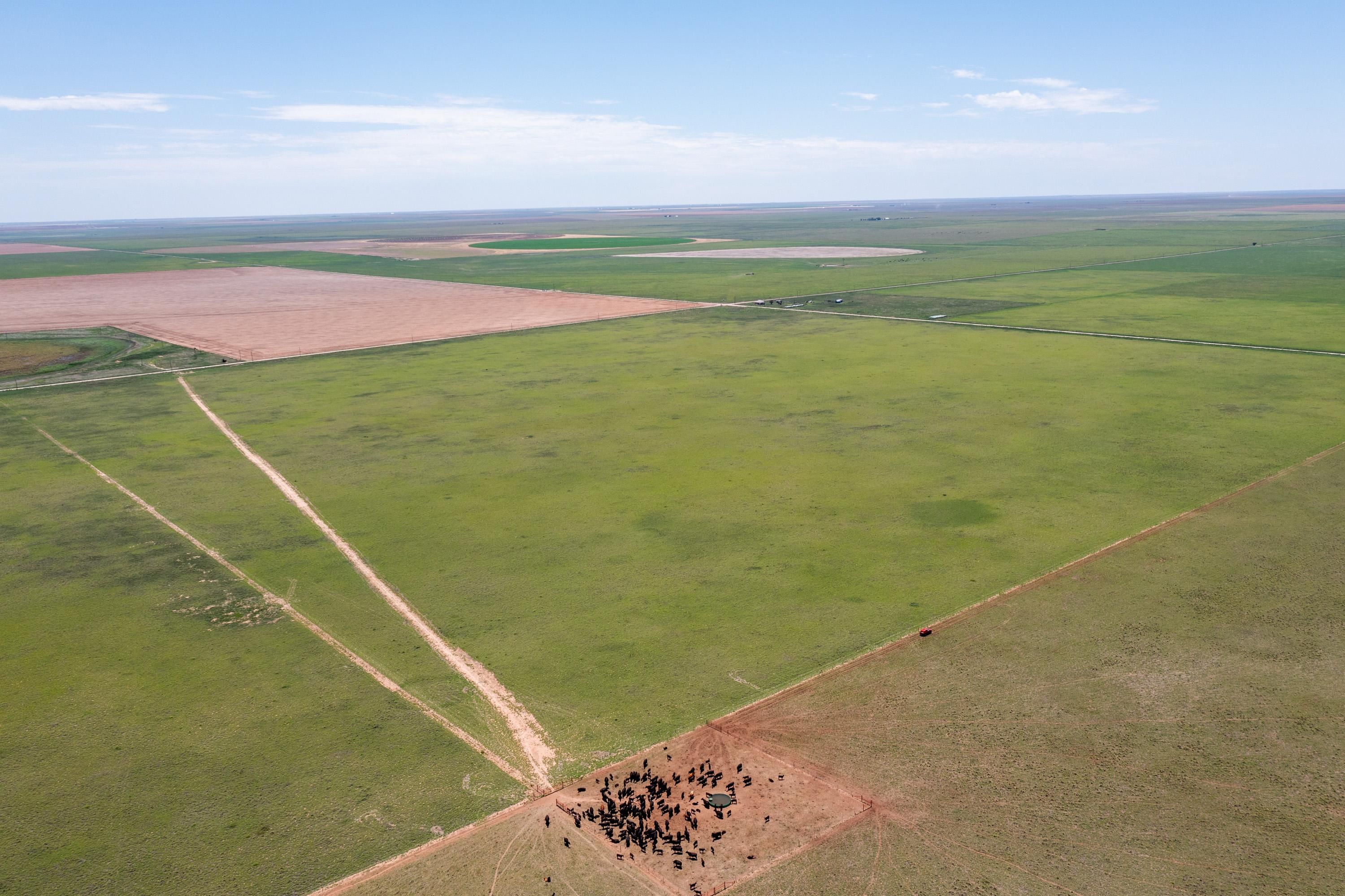 477 acres in Vega, TX, 79092