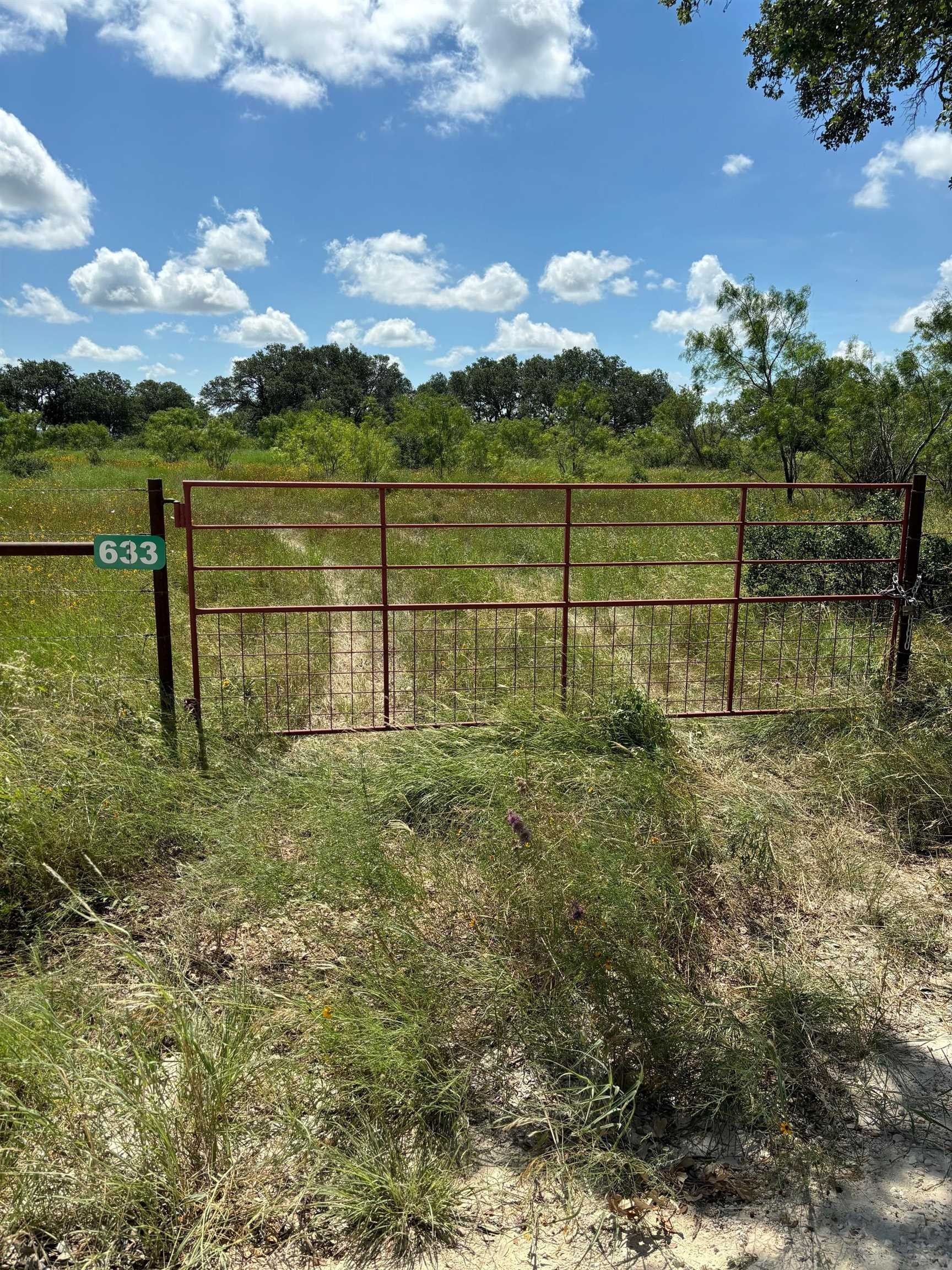 633 CR 1638, Lometa, TX 76853 MLS 169352