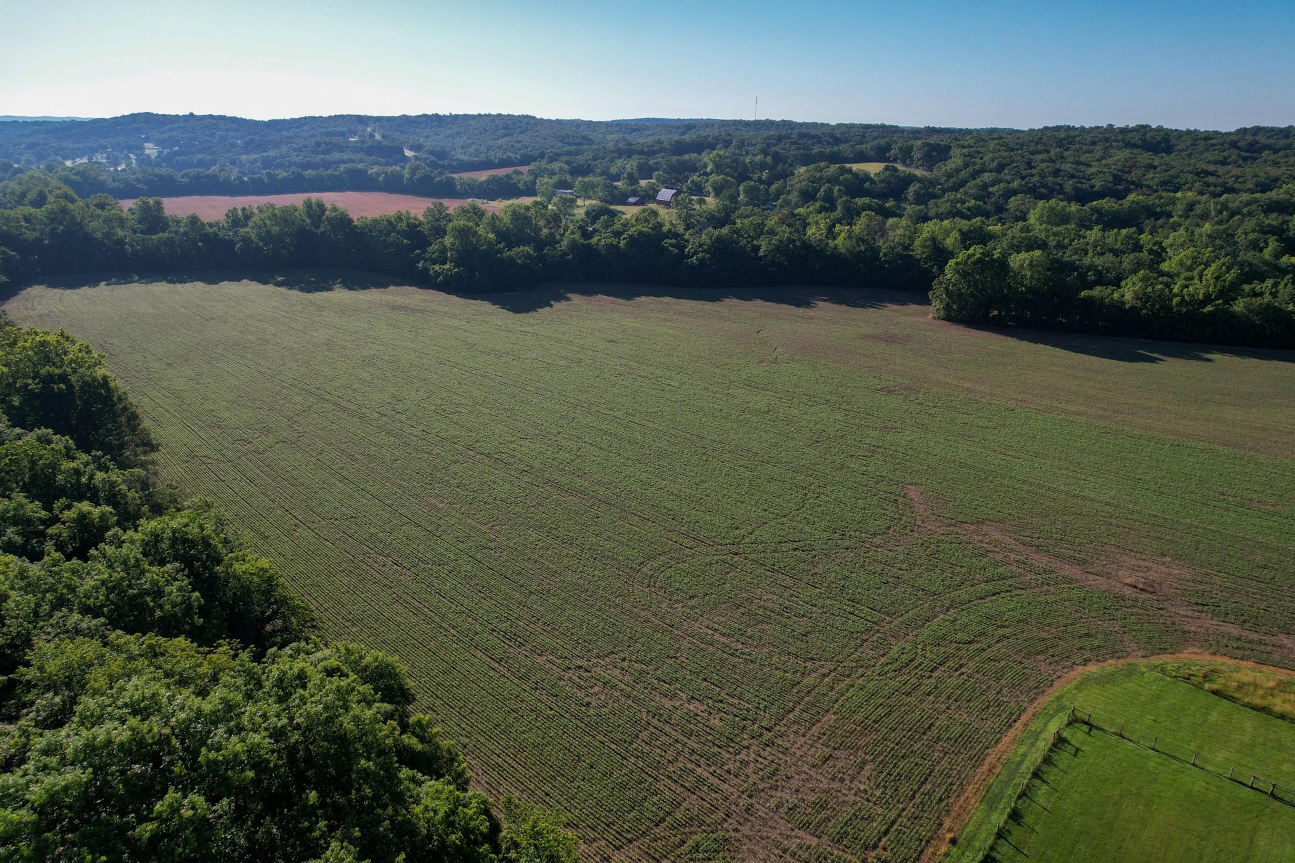 Jackson School Road, Bloomsdale, MO 63627