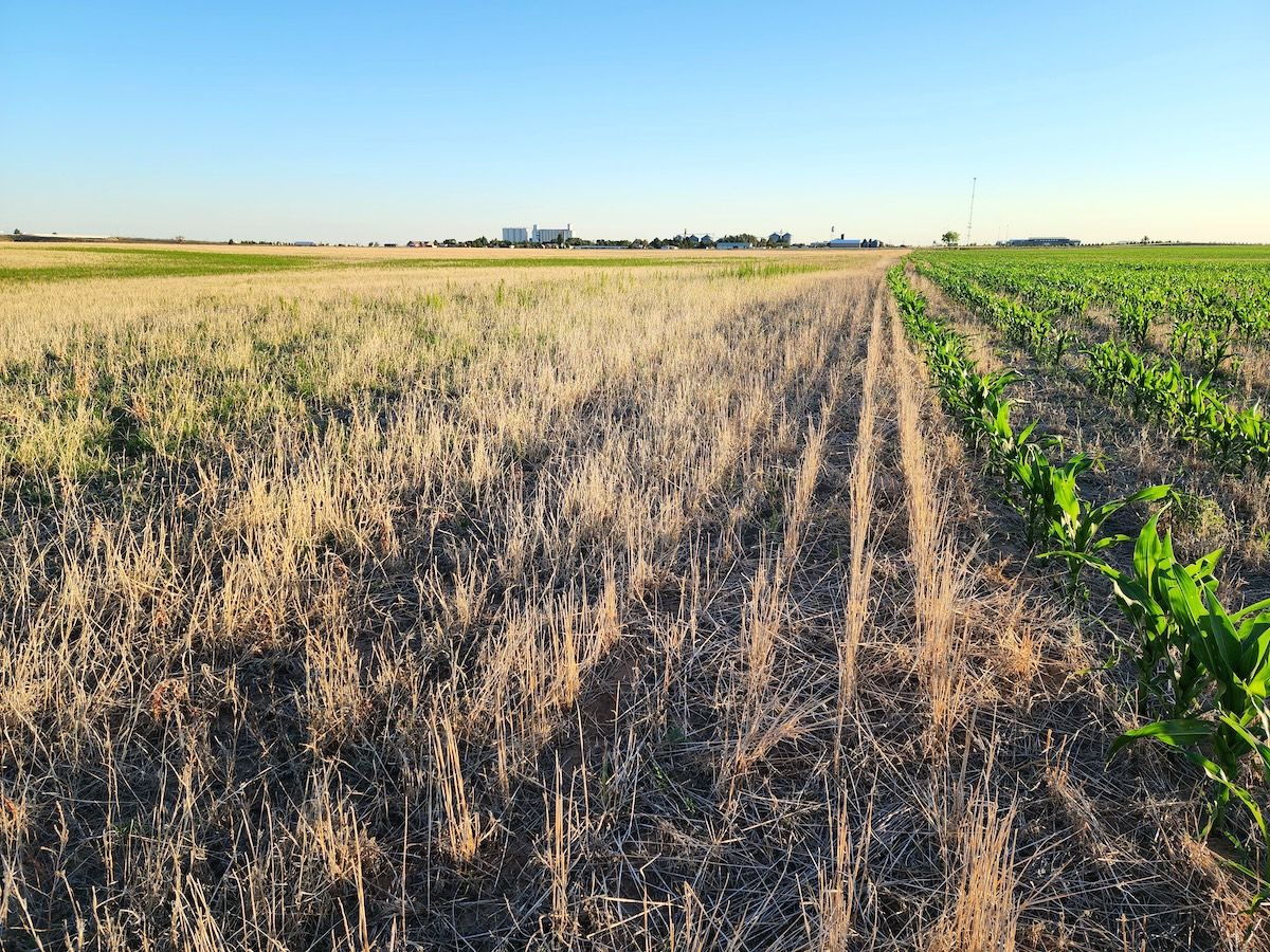 TBD Highway 59, LotWP001, Seibert, CO 80834