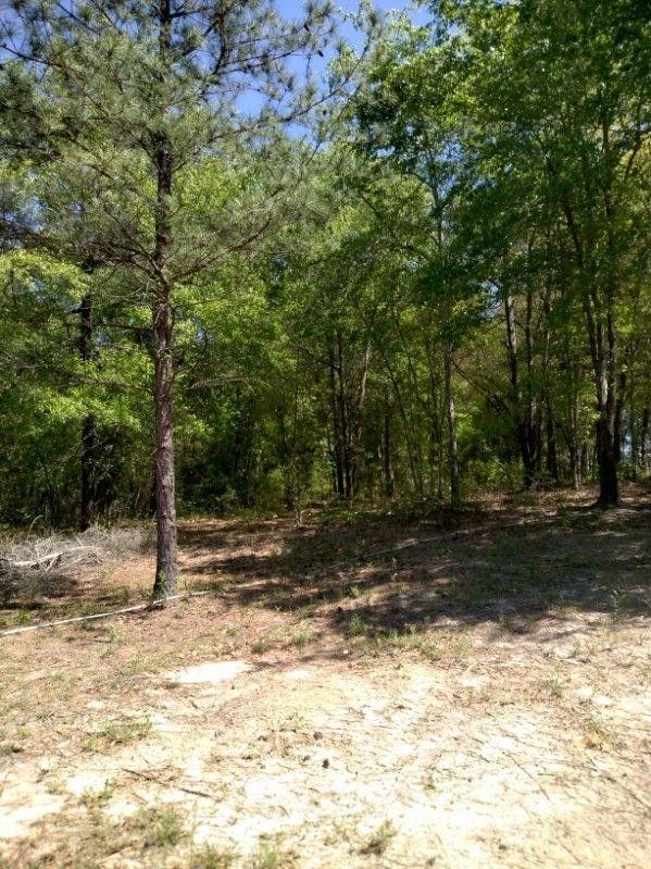 1024 MCNUTT Way, Augusta, GA 30906 MLS 530980