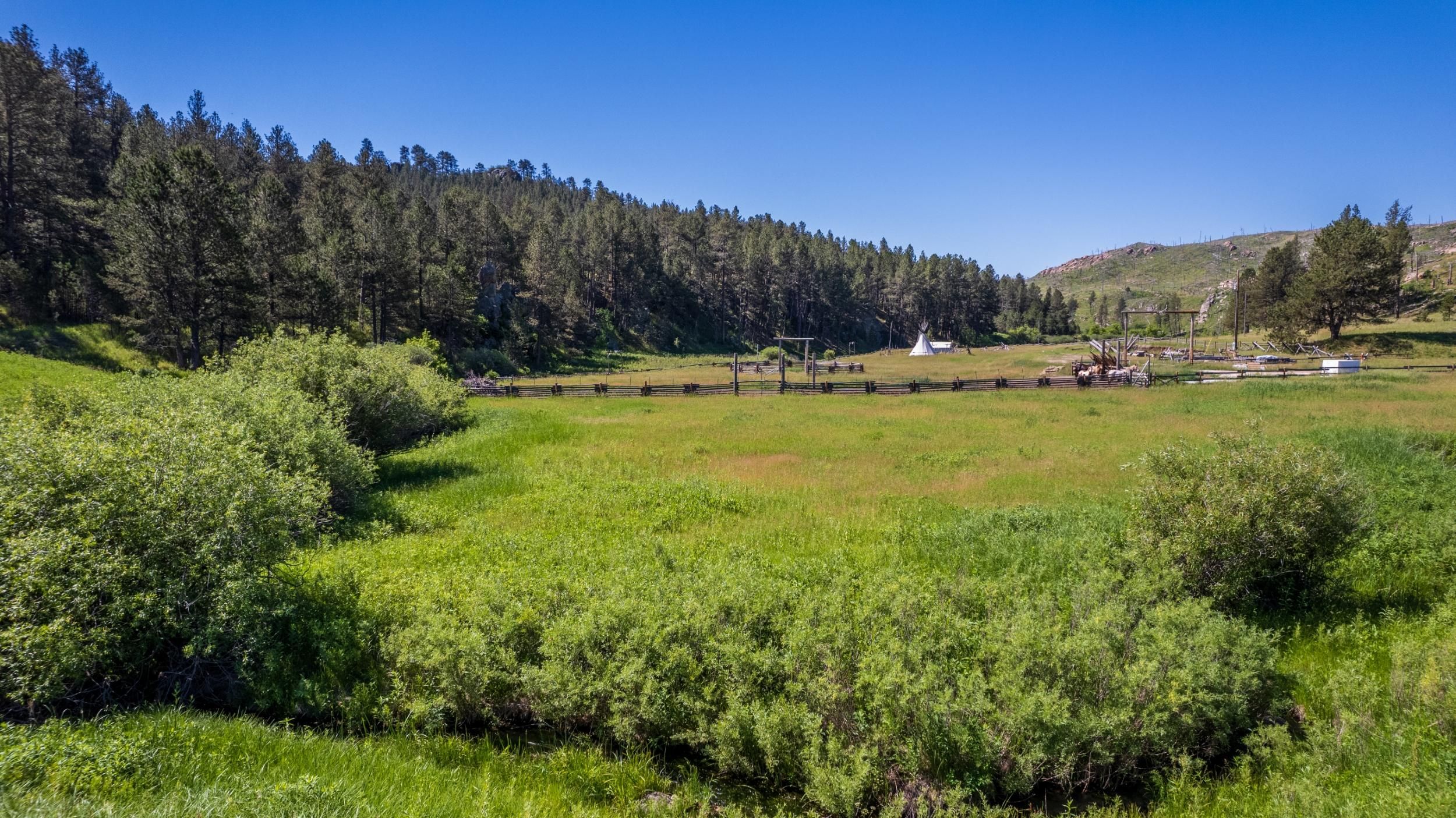 26170 Rifle Pit Rd, Custer, SD 57730 MLS 79448