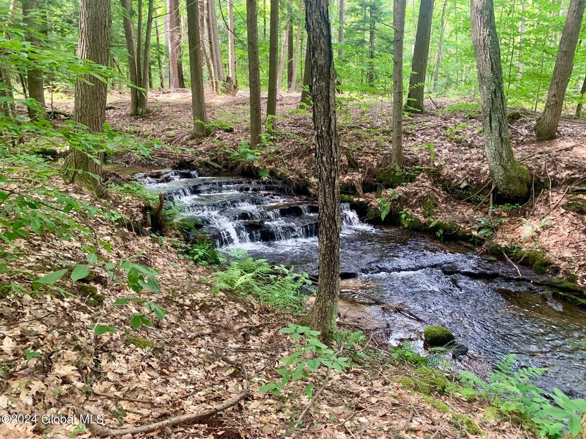 131 Fishback Road, Barkersville, NY 12850 MLS 202420341