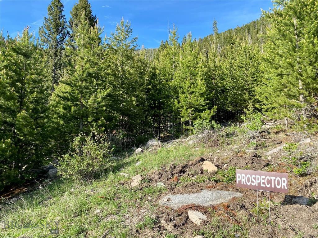 Lot 24 Woodland Lane Prospector, Butte, MT 59701 MLS 387807