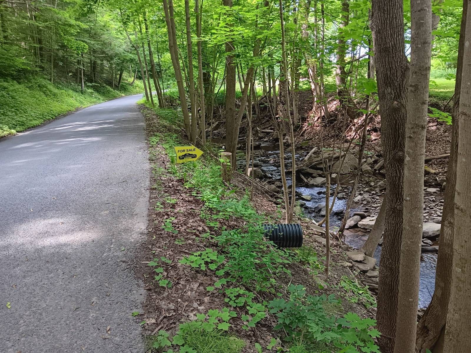 0 North Bull Run, Margaretville, NY 12455 MLS 11300456