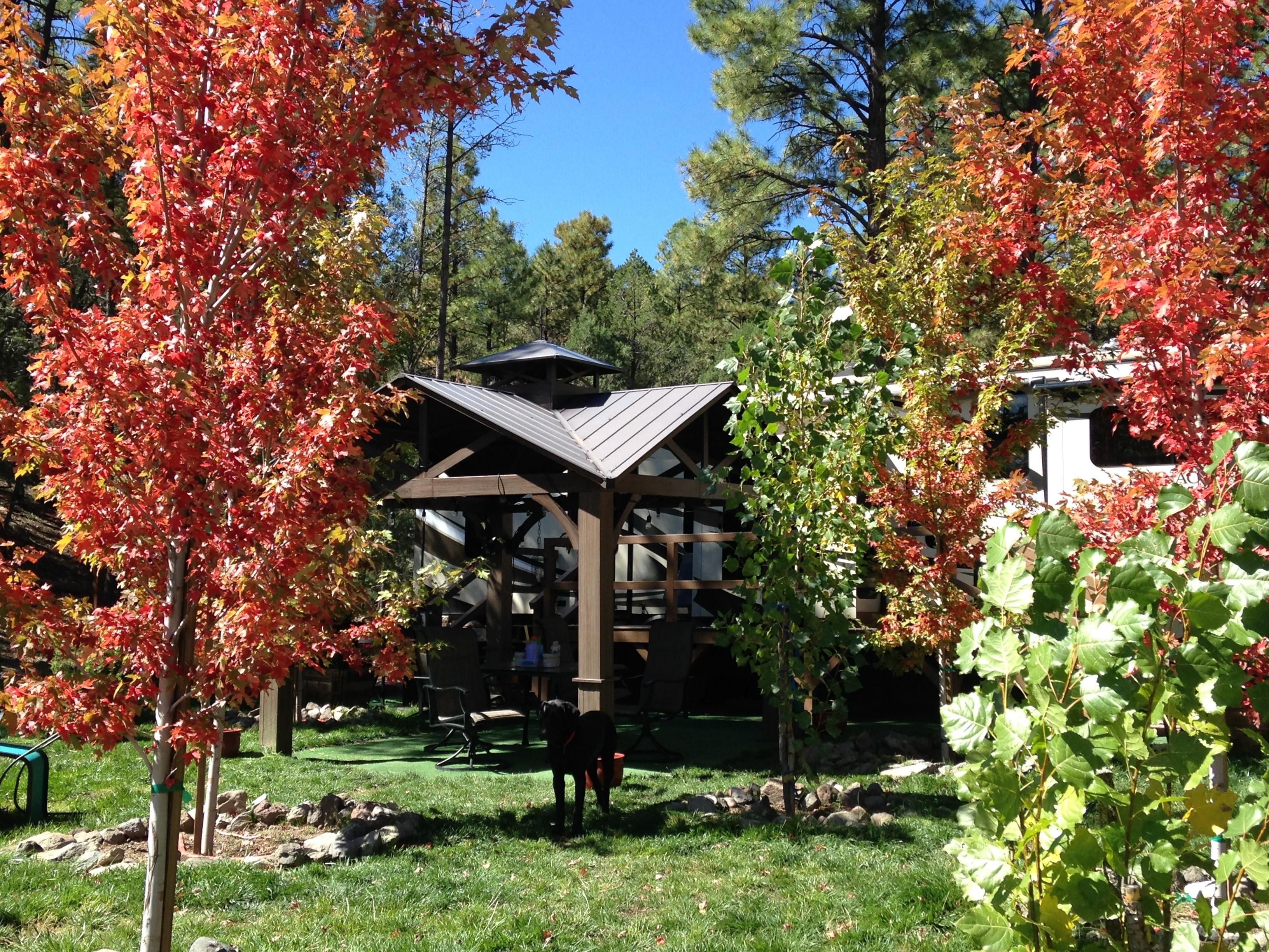 N2331, Nutrioso, AZ 85932 MLS 252739