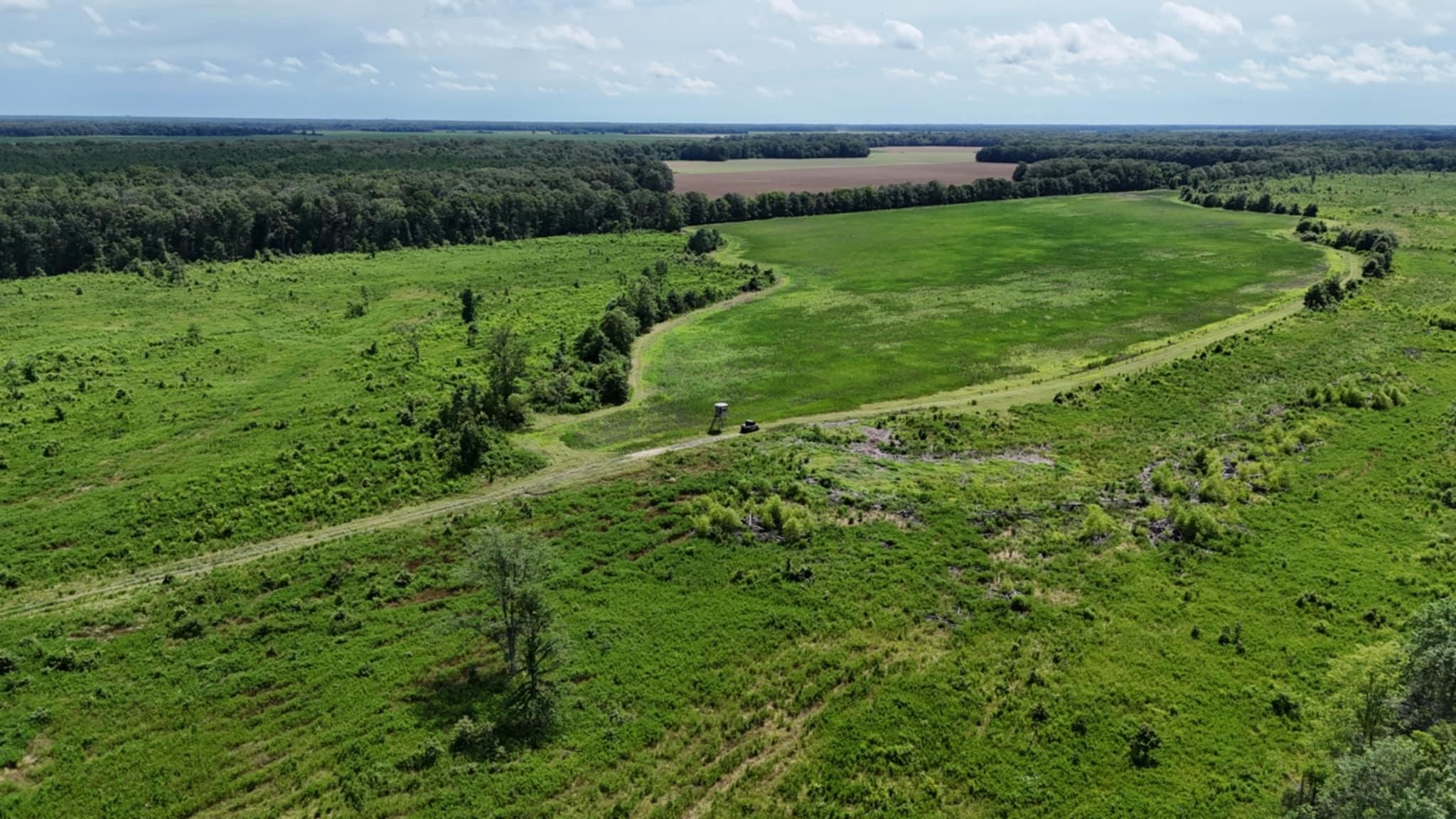 E Pike St, Des Arc, AR 72040