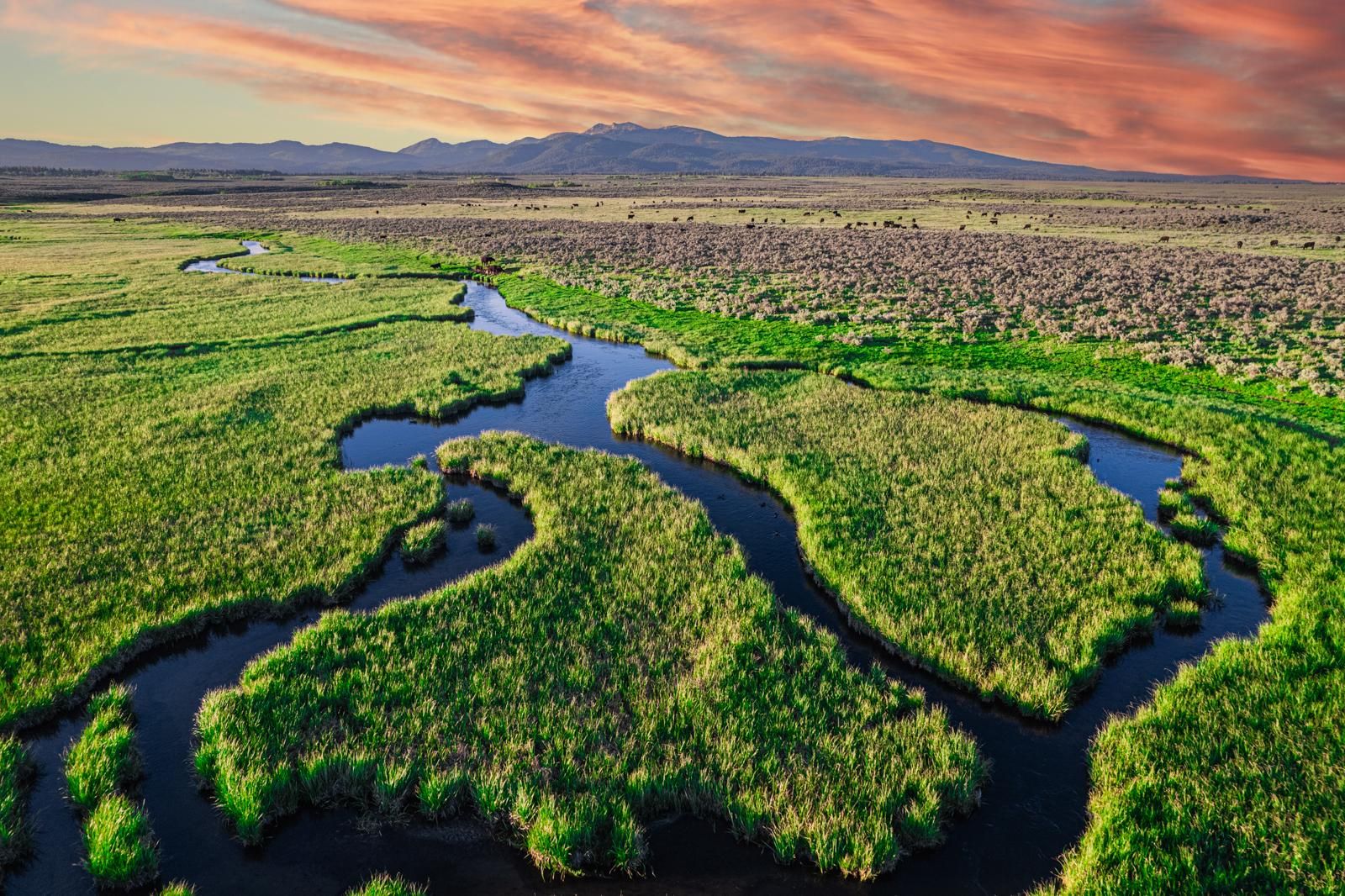 1,412.63 acres in Island Park, ID, 83429 MLS Ice House Creek Ranch