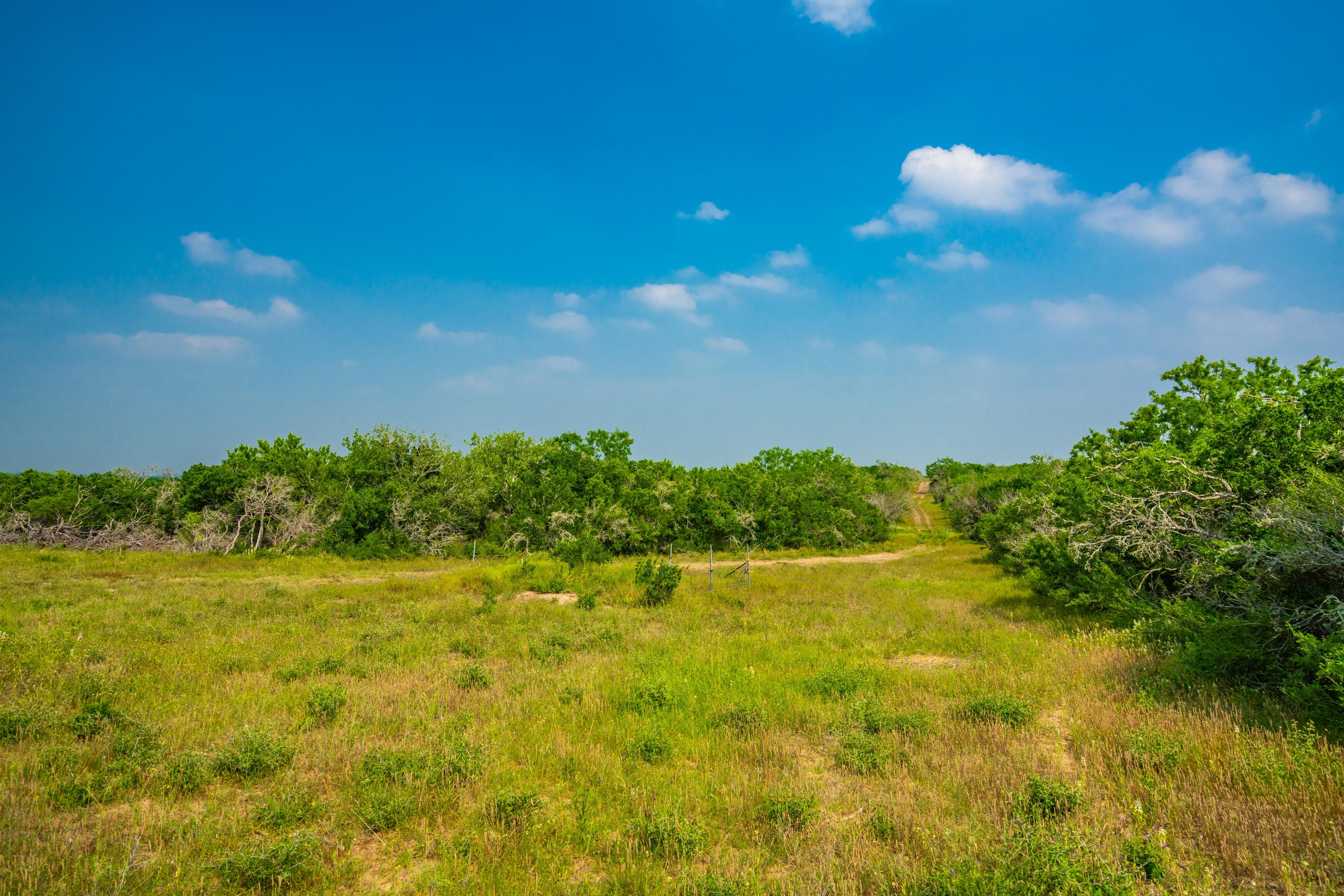 Farm to Market 2442, Pettus, TX 77963