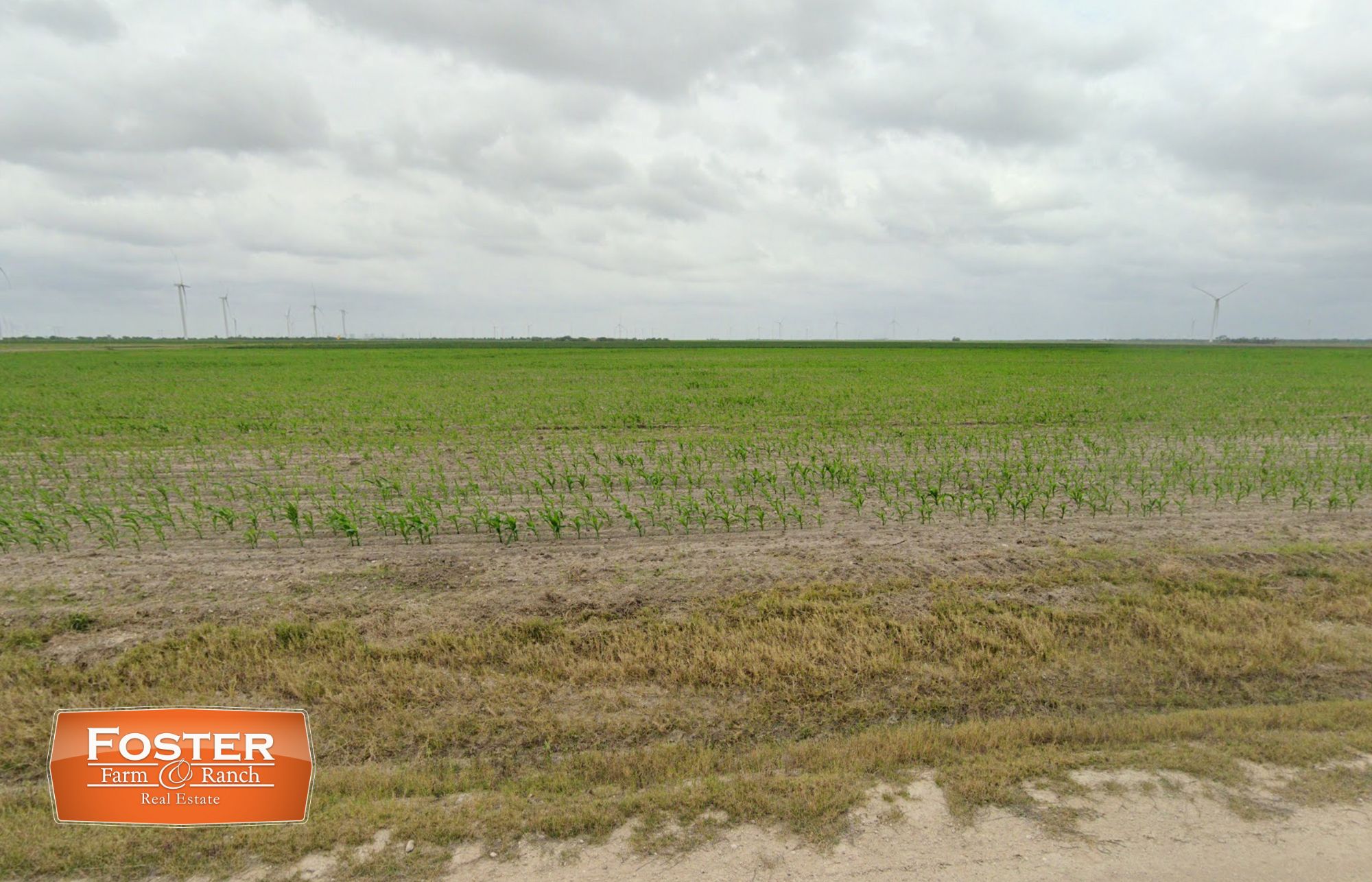 100 acres in San Perlita, TX, 78580 MLS 1788979