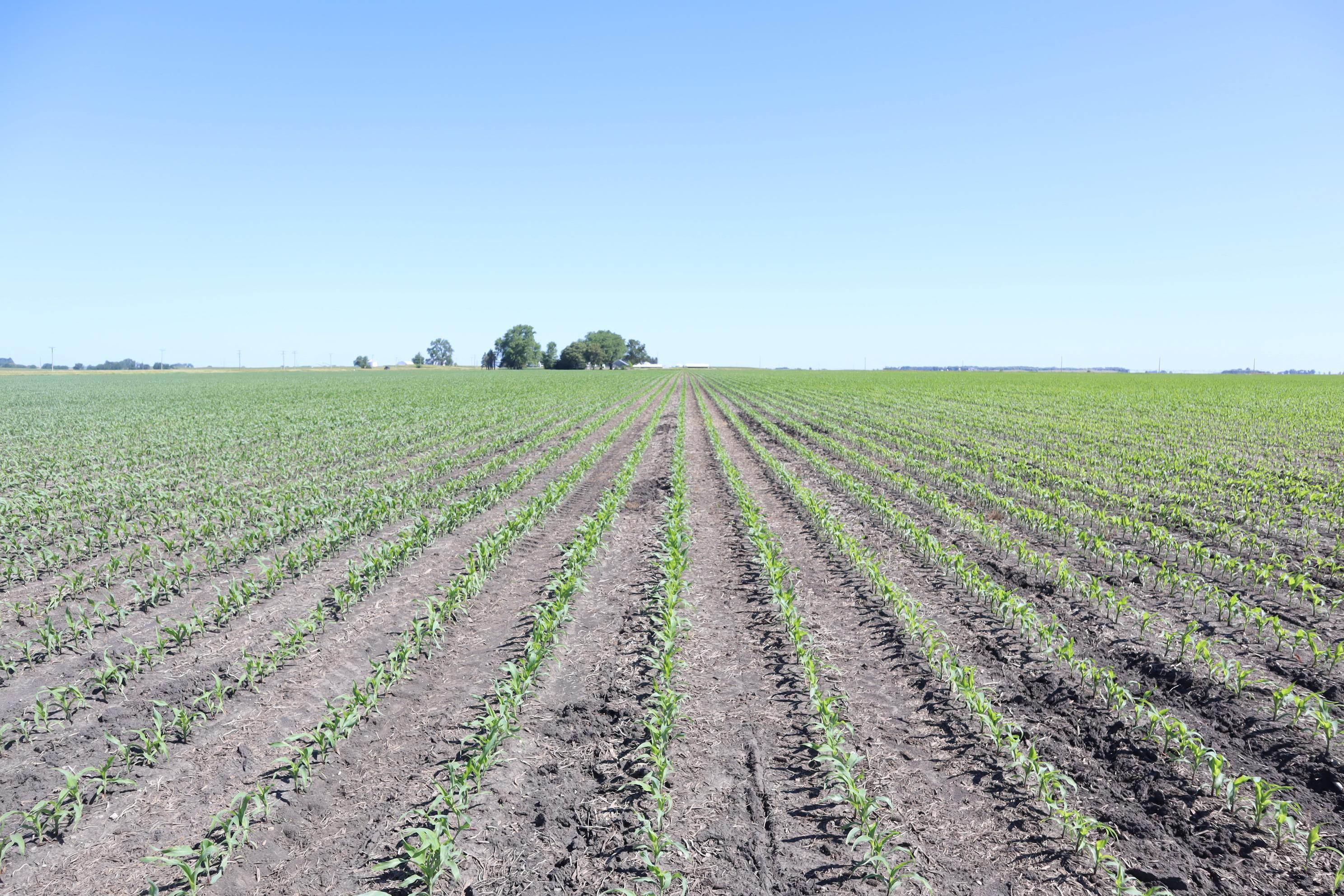 207 Tampico Road, Harmon, IL 61042 MLS 1