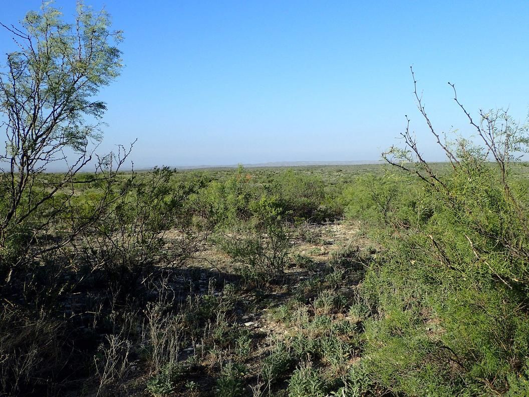 3,900 acres in Dryden, TX, 78851