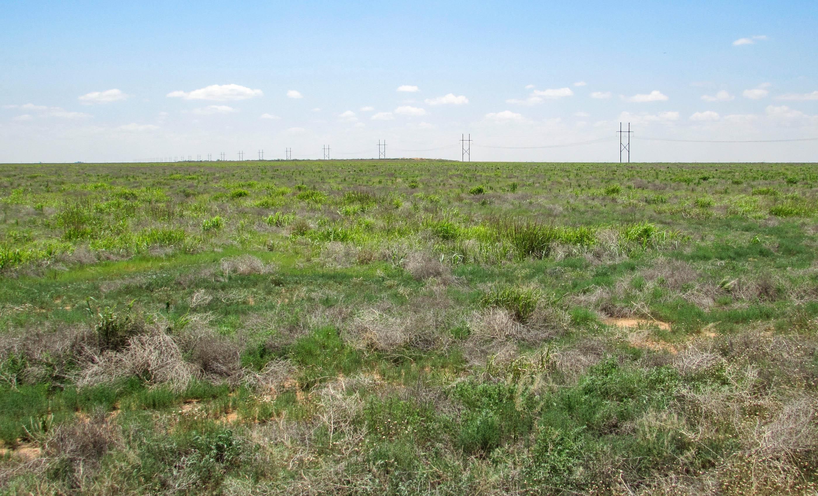 360 acres in Ropesville, TX, 79345