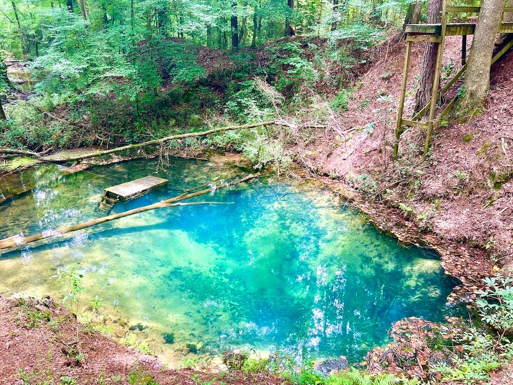 0 Laidler Road, LotWP001, Pineview, GA 31071