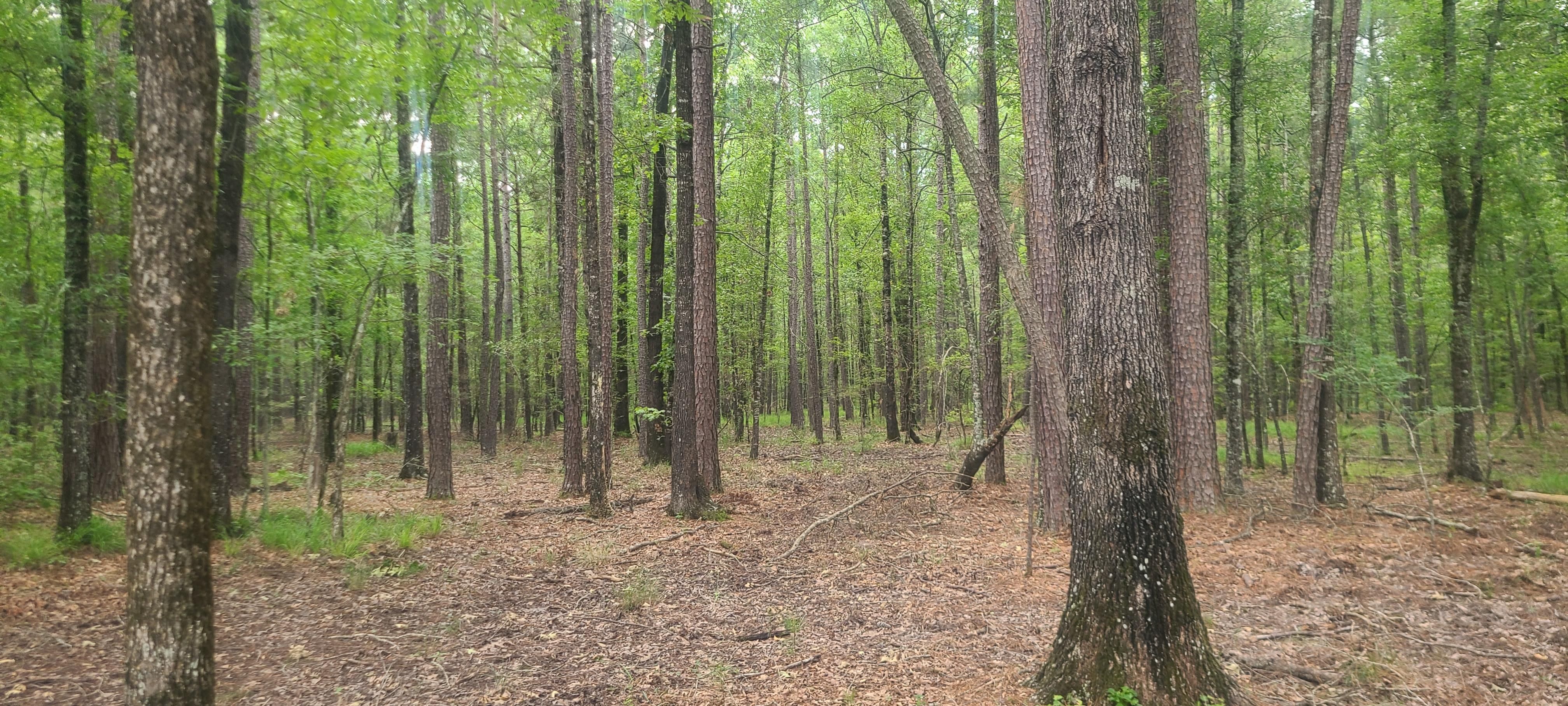 520 acres in Benton, LA, 71006