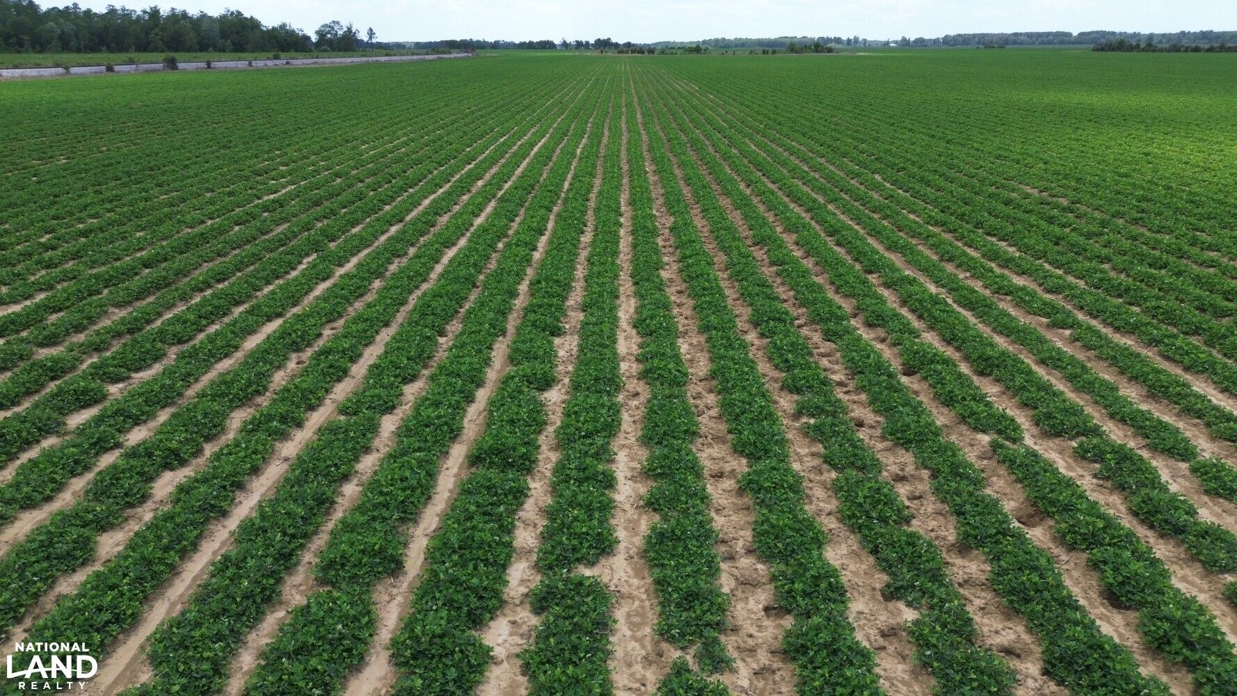 0 McCullough Road, Atmore, AL 36502