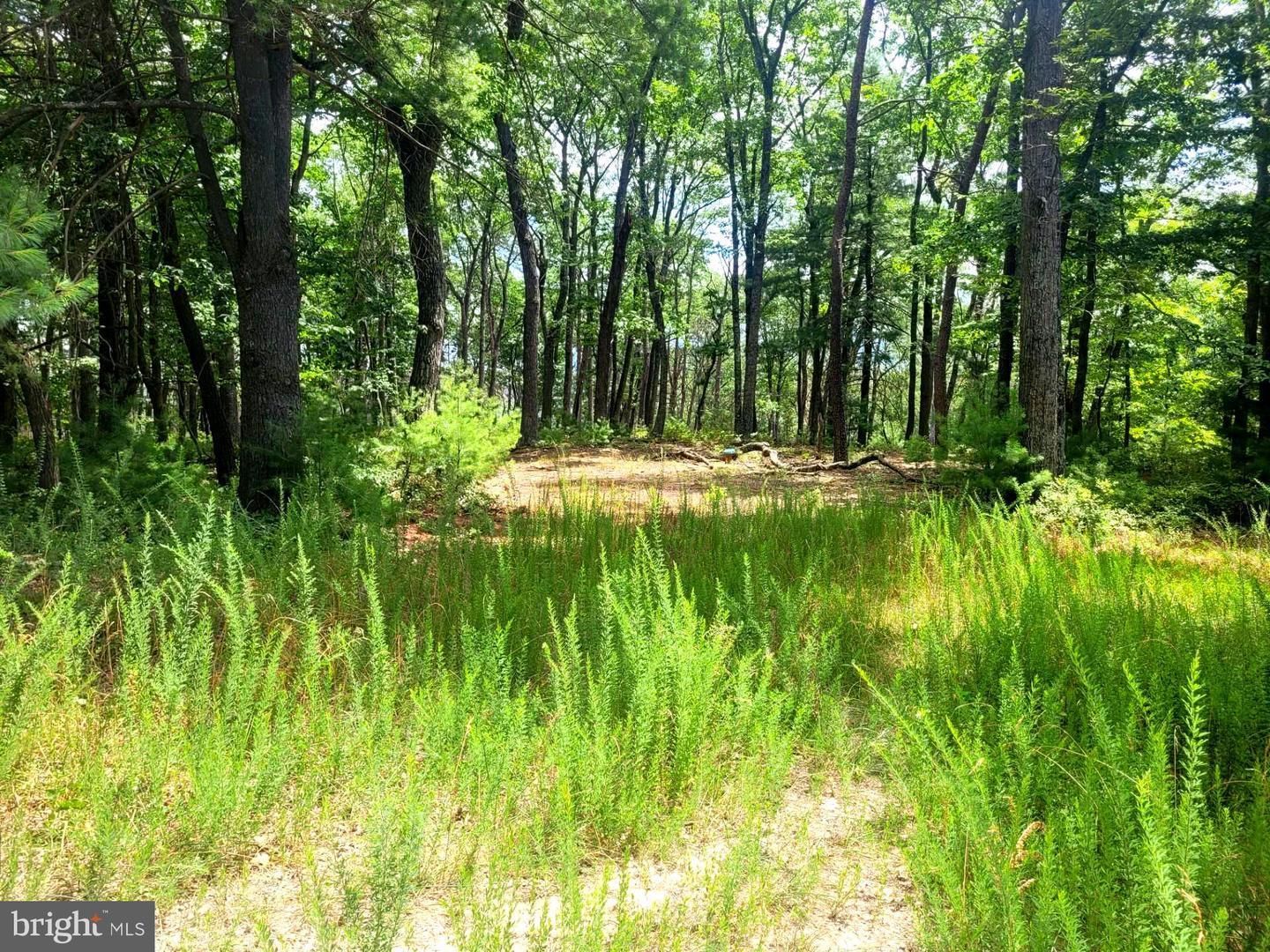 Baker Mountain Dr, Yellow Spring, WV 26865 MLS WVHS2004938
