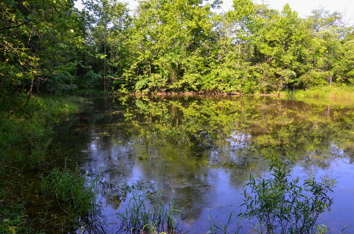 Coffman Road, Lot WP002, Farmington, MO 63640