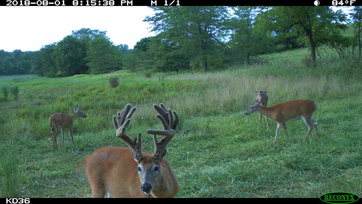 TBD 201st Street, Blakesburg, IA 52536