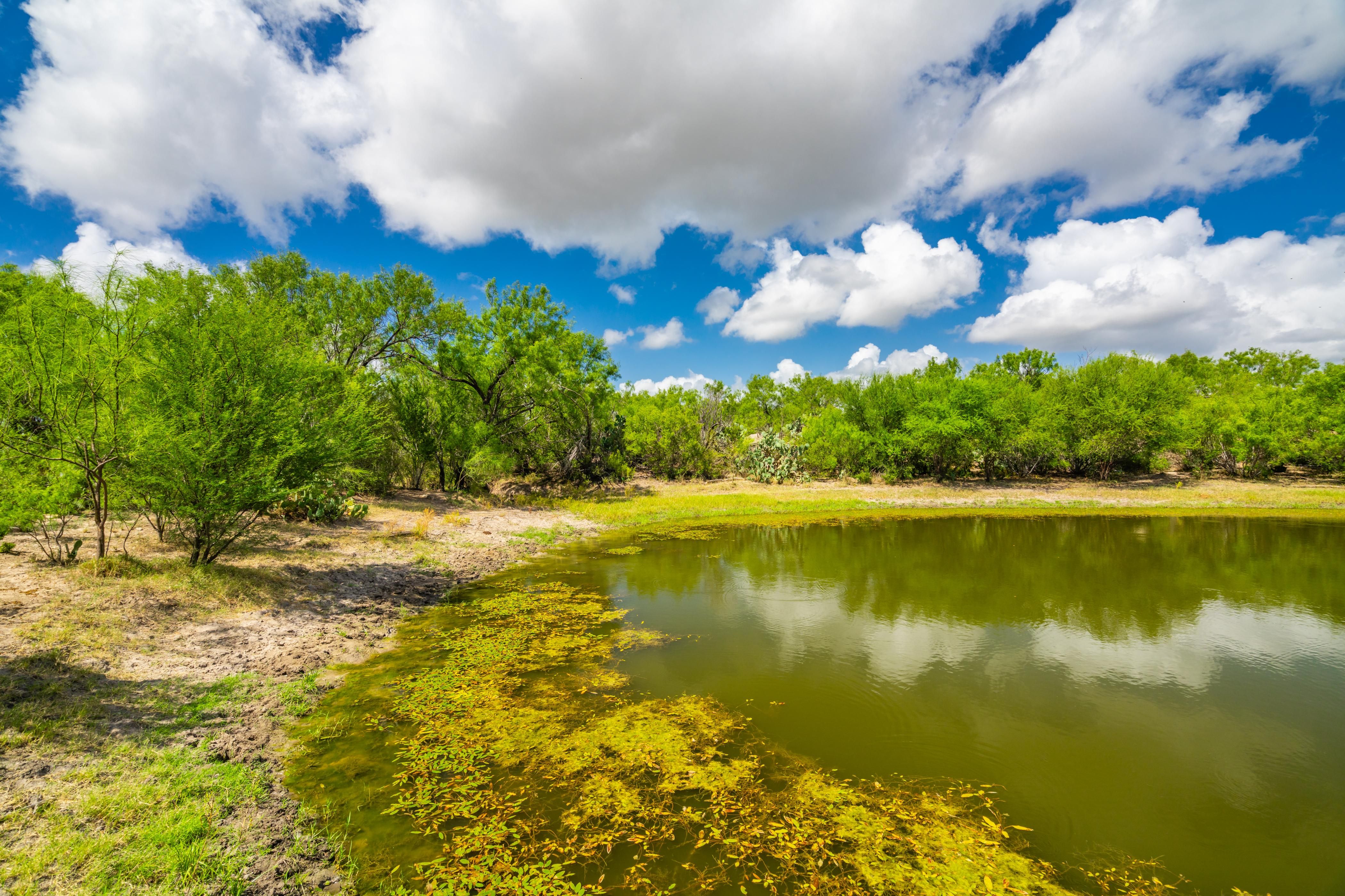 TX85, Big Wells, TX 78830