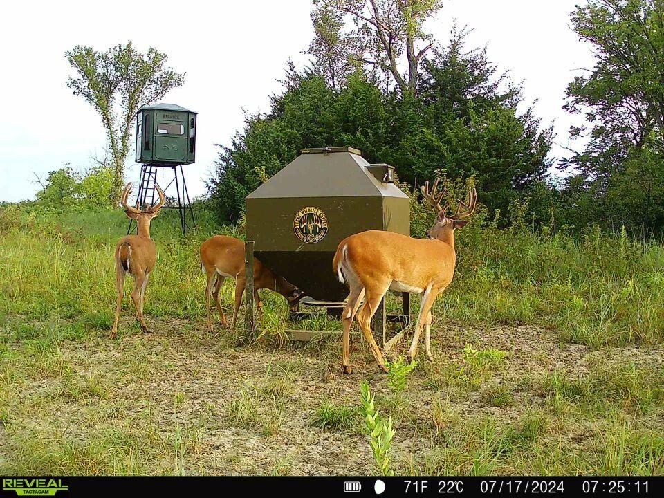 80 acres in Lyndon, KS, 66451