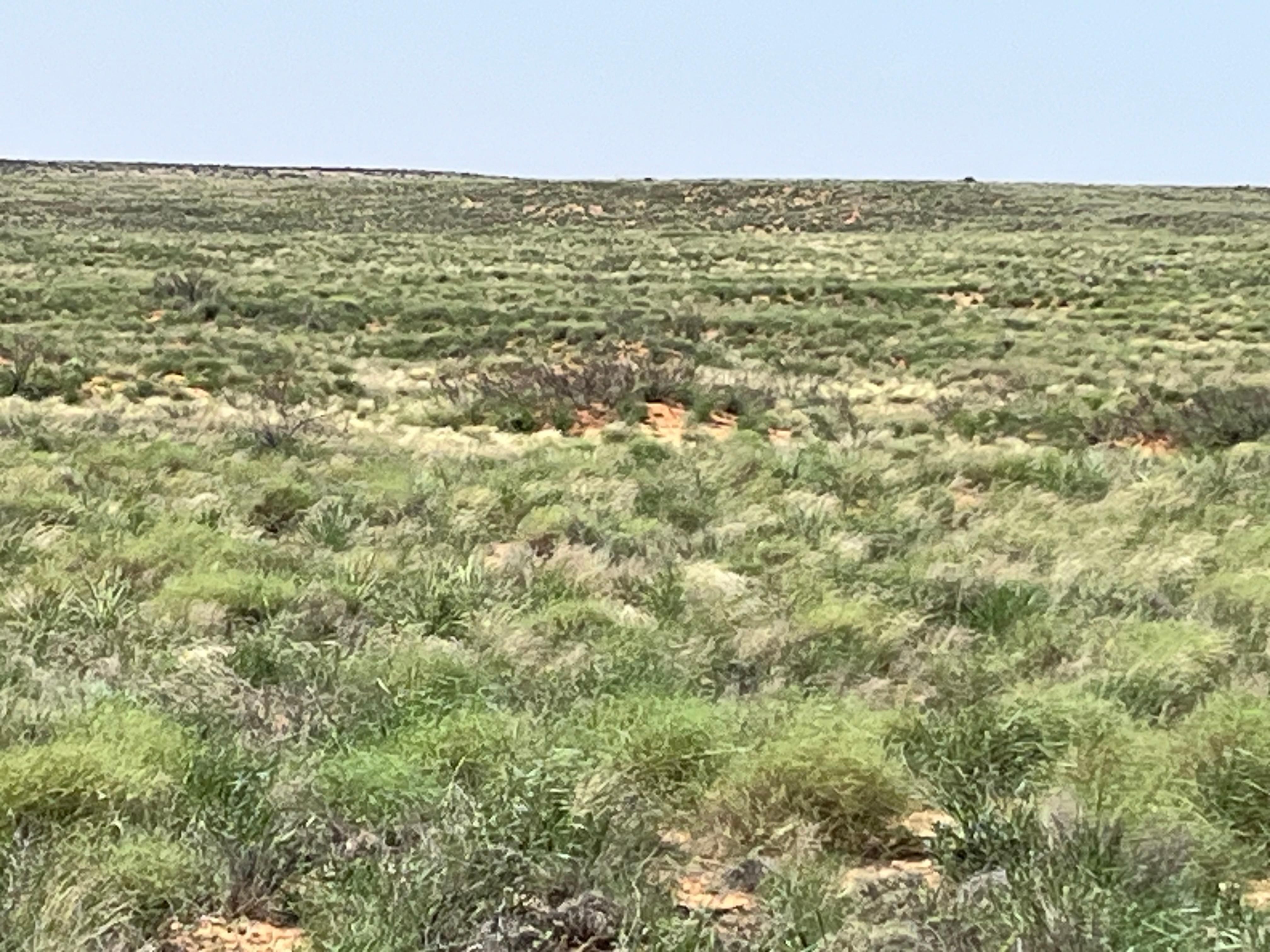 32,107 acres in Hagerman, NM, 88232