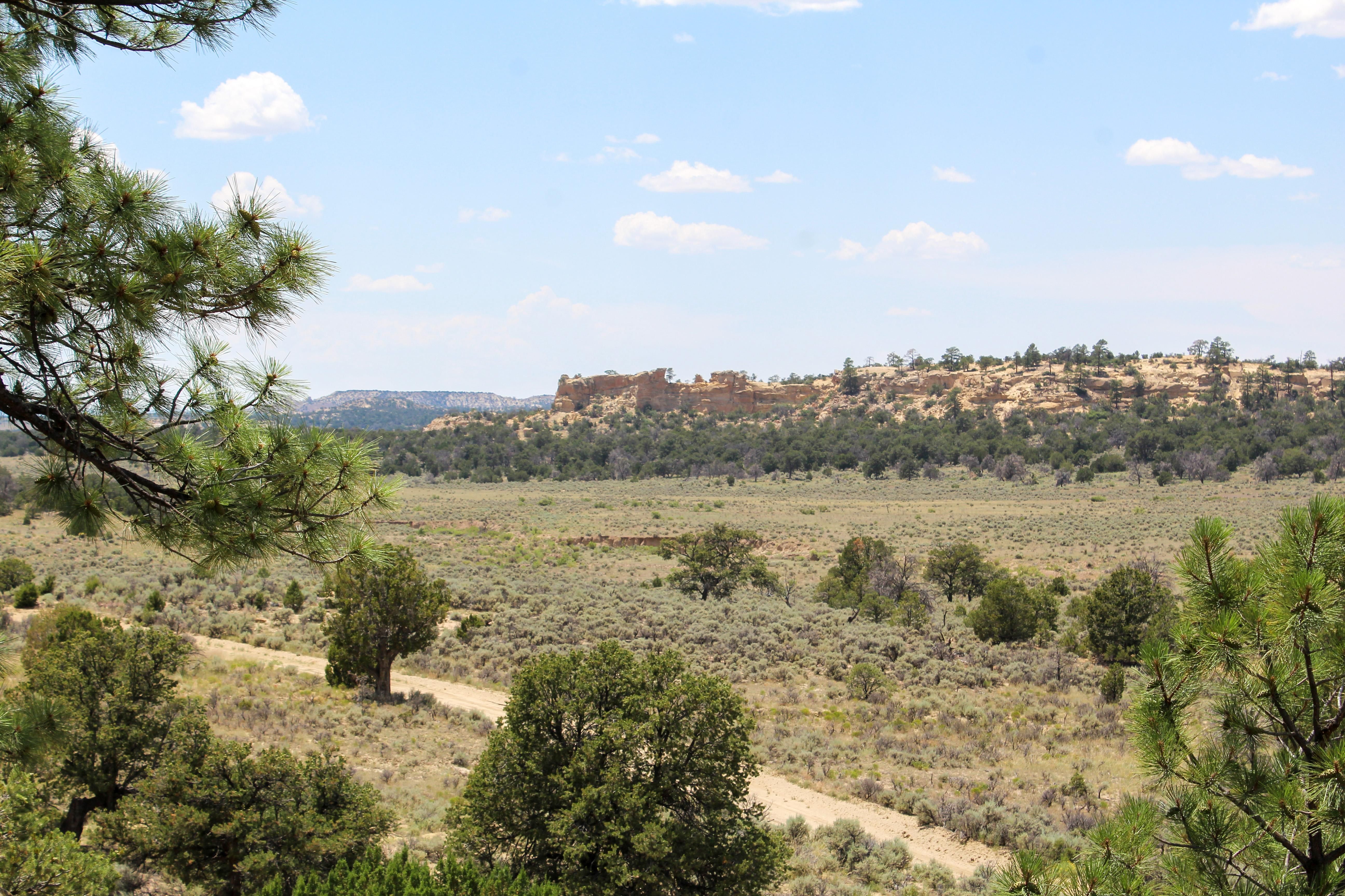 298 acres in Cuba, NM, 87013