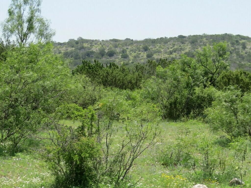 32.68 acres in Juno, TX, 78840