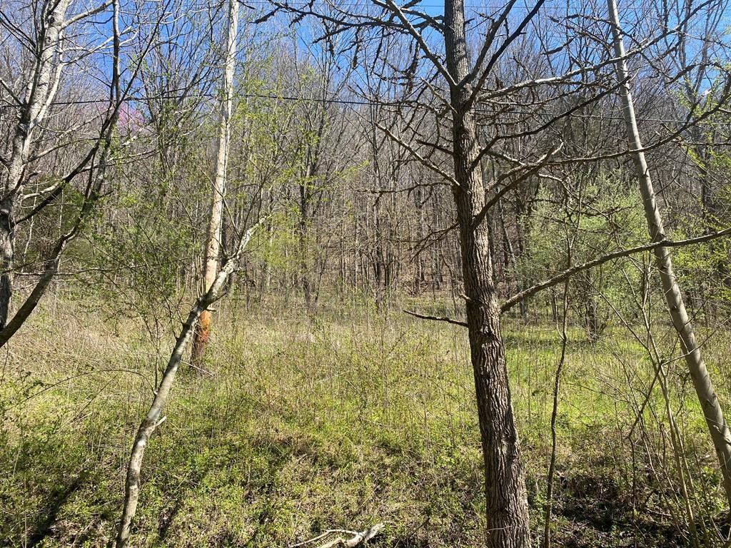 Acorn Ln Lots 9 & 10, Gainesboro, TN 38562 MLS 226318