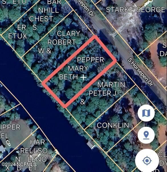 252 S Horsepen Drive, Harrells, NC 28444 MLS 100462336